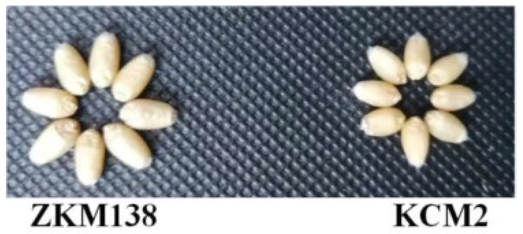 Agriculture 12 01718 g001