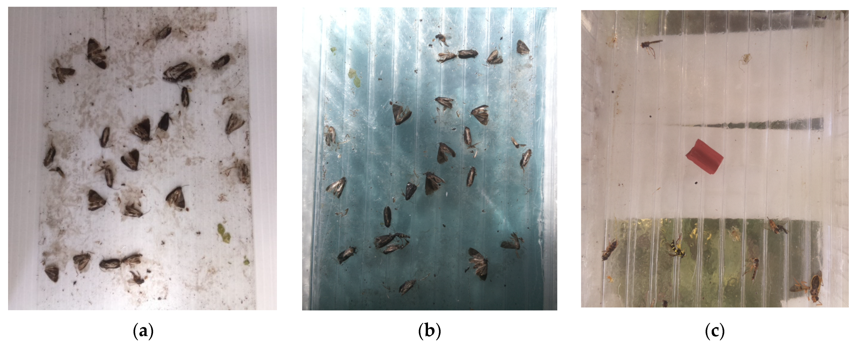 Agriculture 12 01721 g001 Agriculture 12 01721 g001