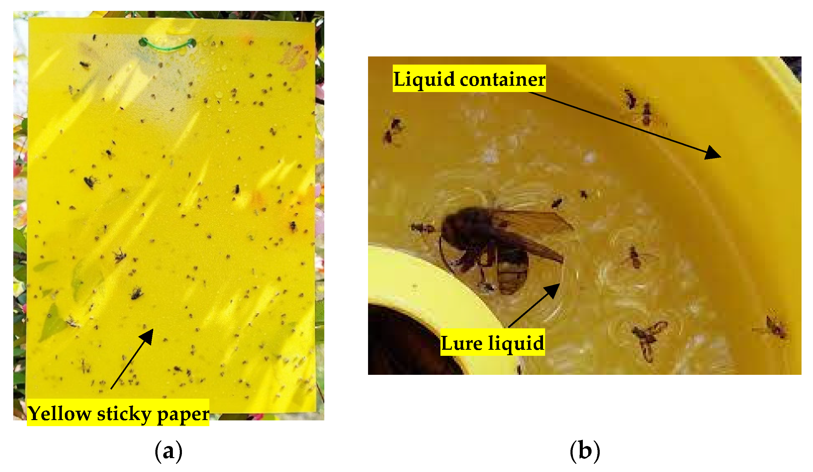 Agriculture 12 01721 g005 Agriculture 12 01721 g005