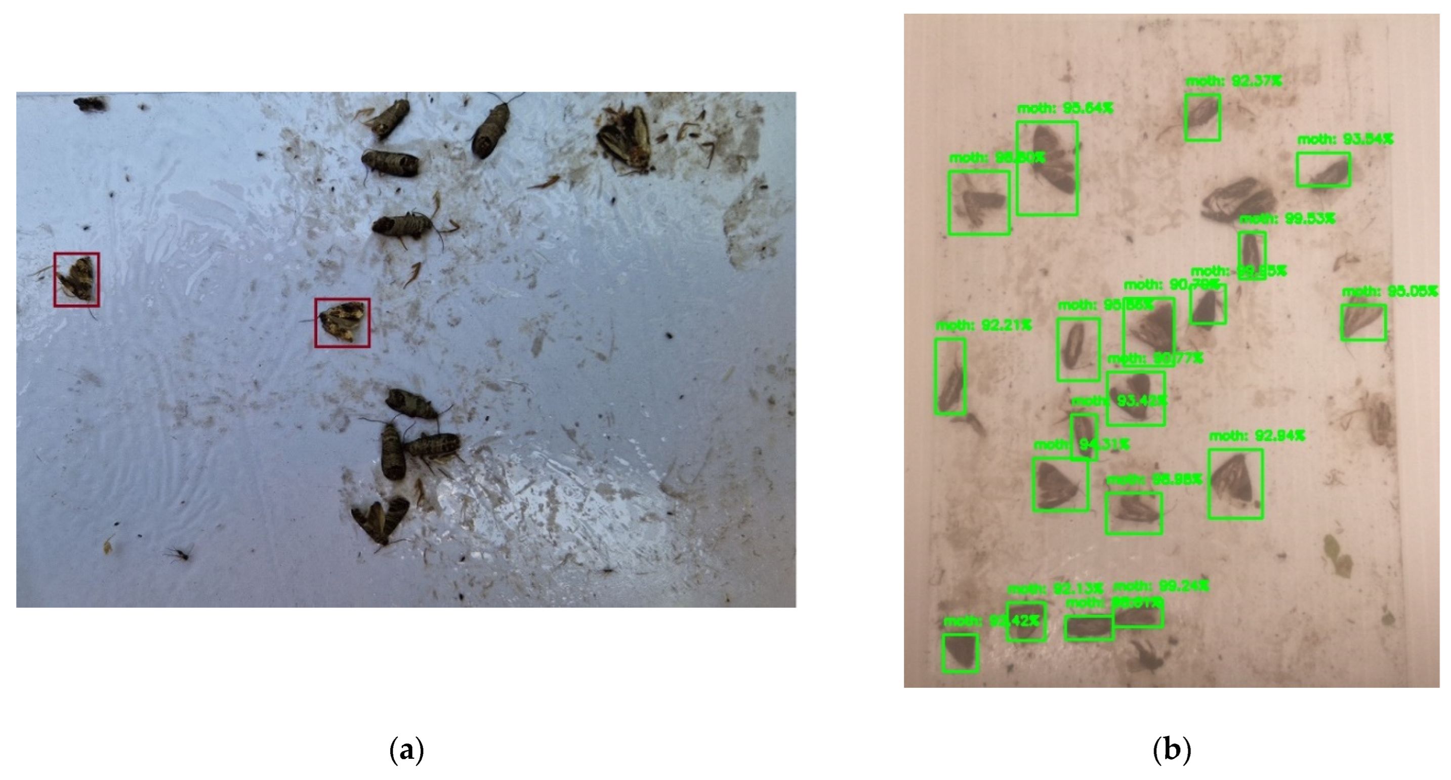 Agriculture 12 01721 g006 Agriculture 12 01721 g006