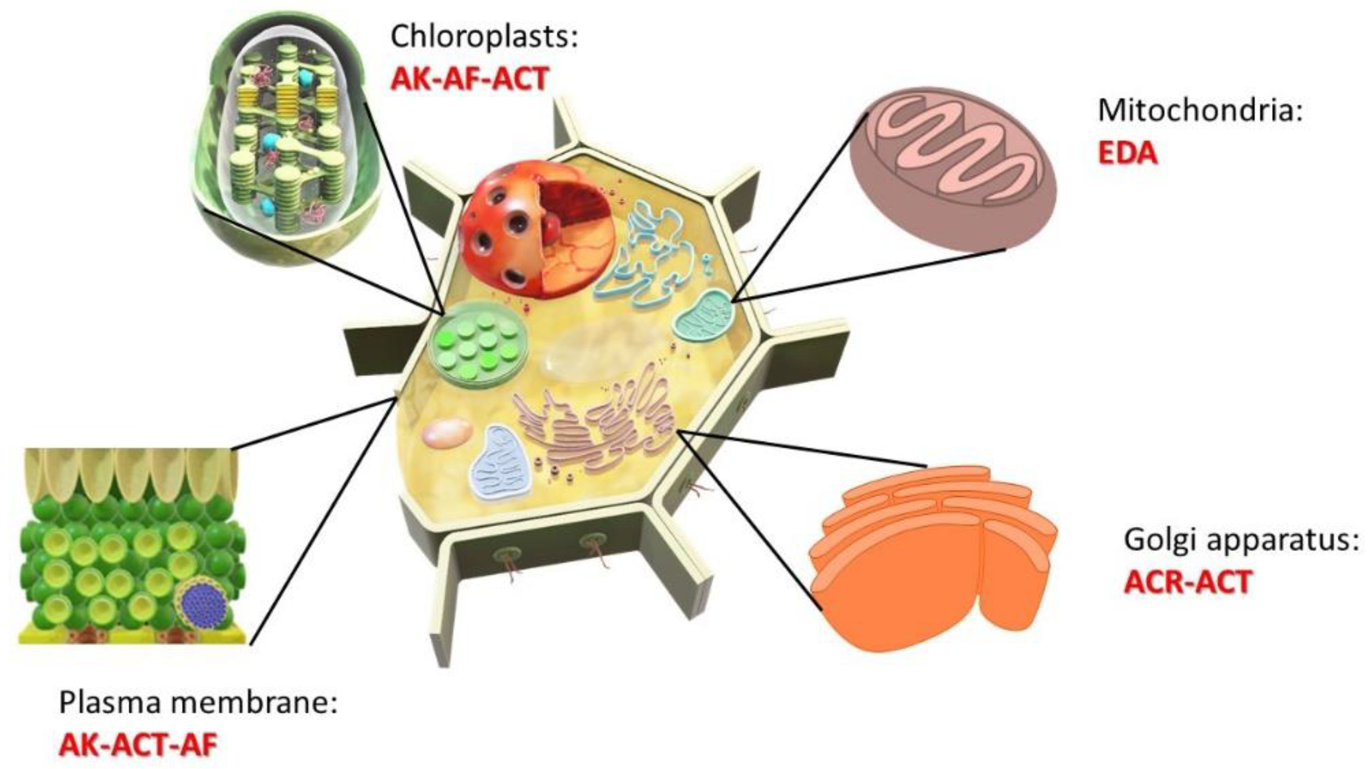 Agriculture 12 01722 g002