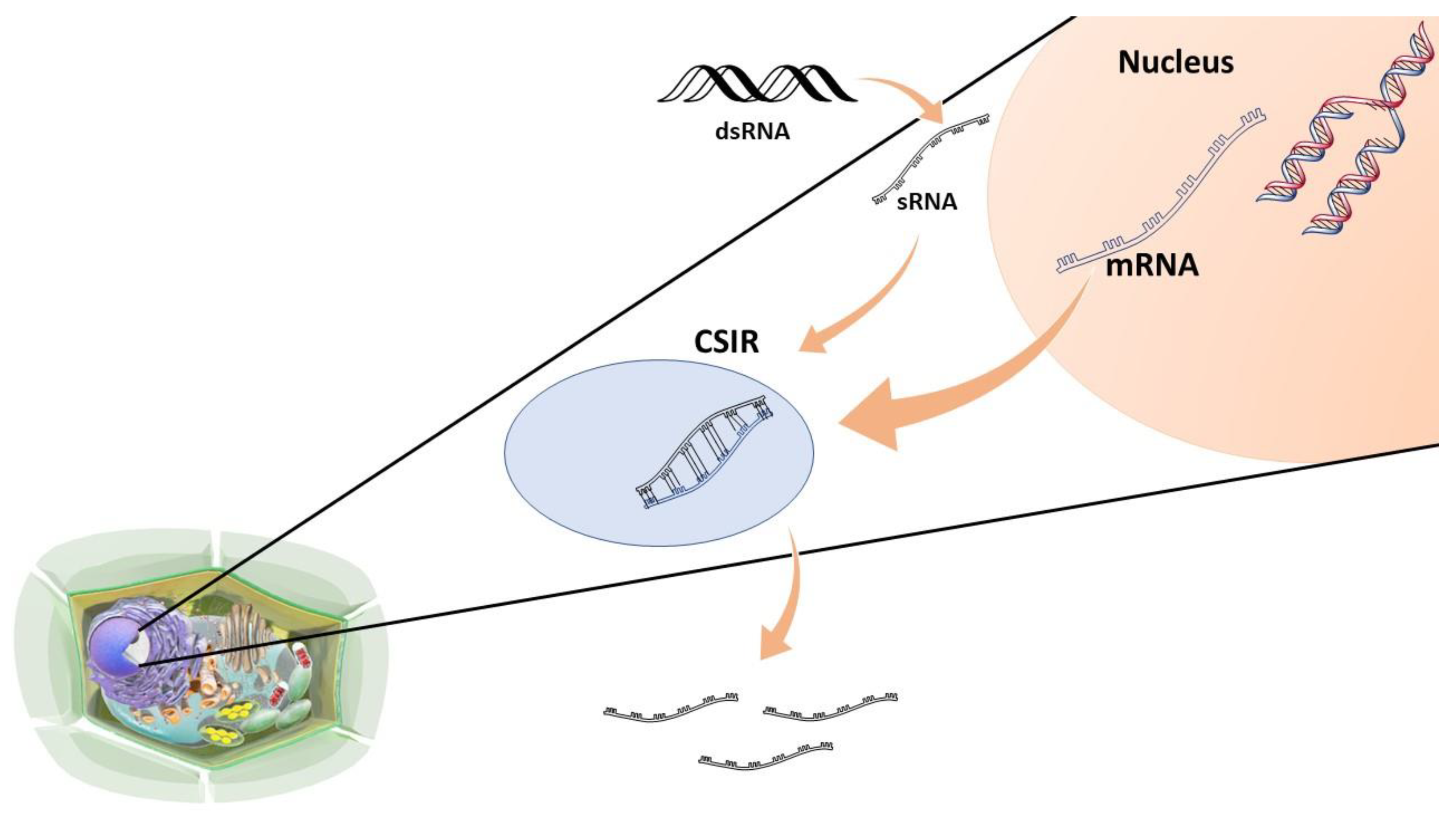 Agriculture 12 01722 g006