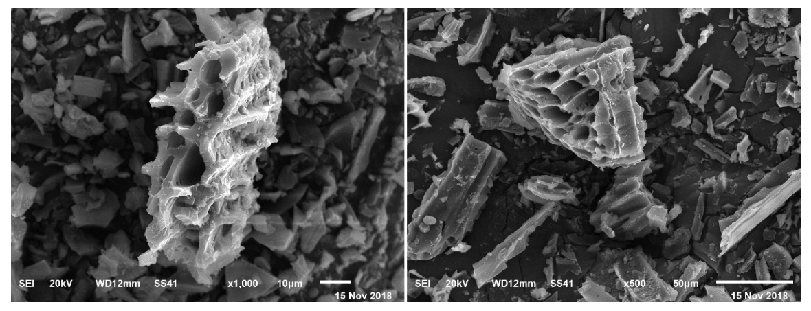 Agriculture 12 01723 g001 Agriculture 12 01723 g001