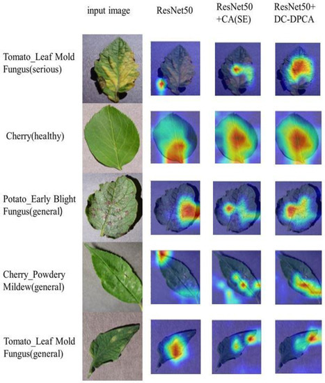 Classification of Fine-Grained Crop Disease by Dilated Convolution