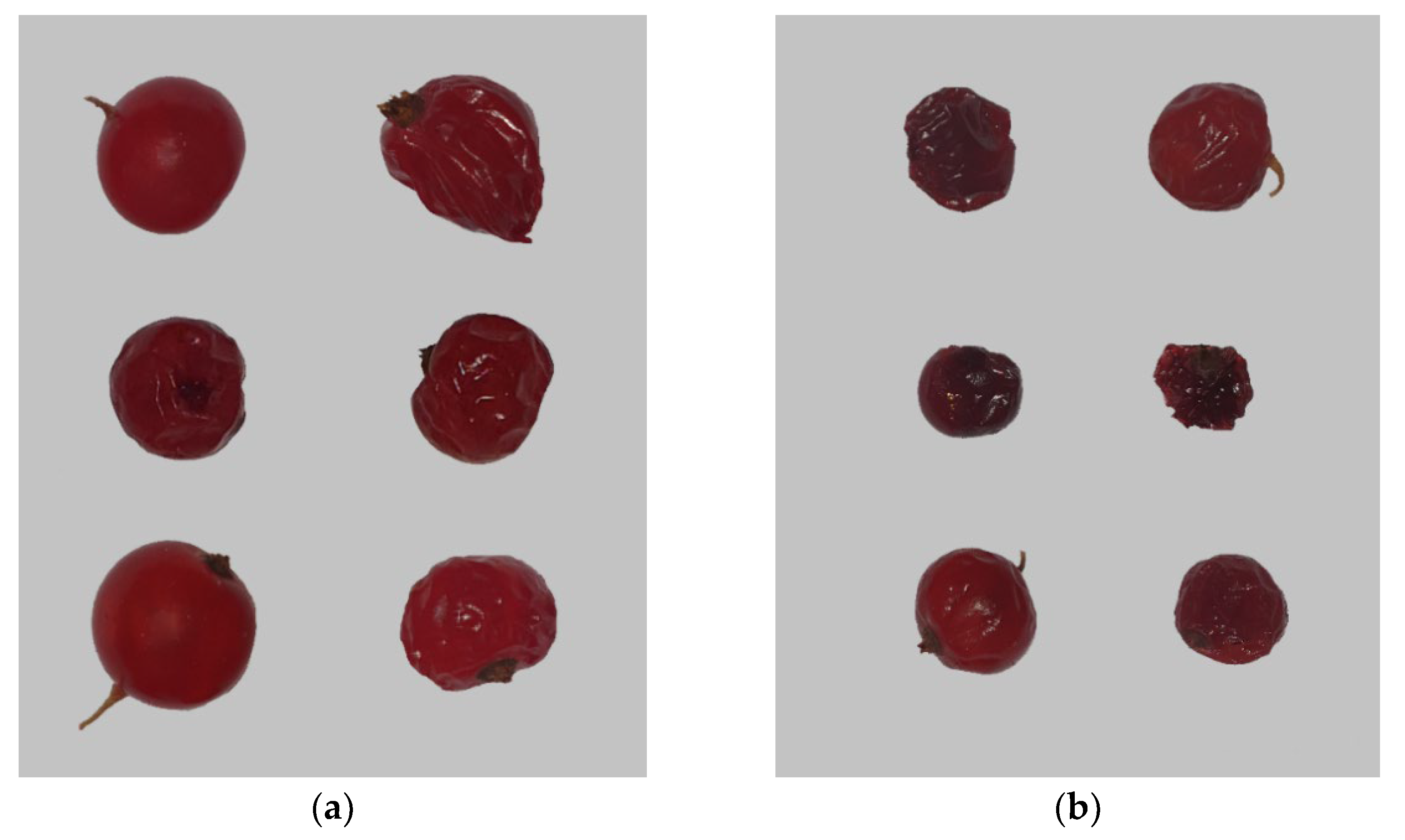 Agriculture 12 01730 g002 Agriculture 12 01730 g002
