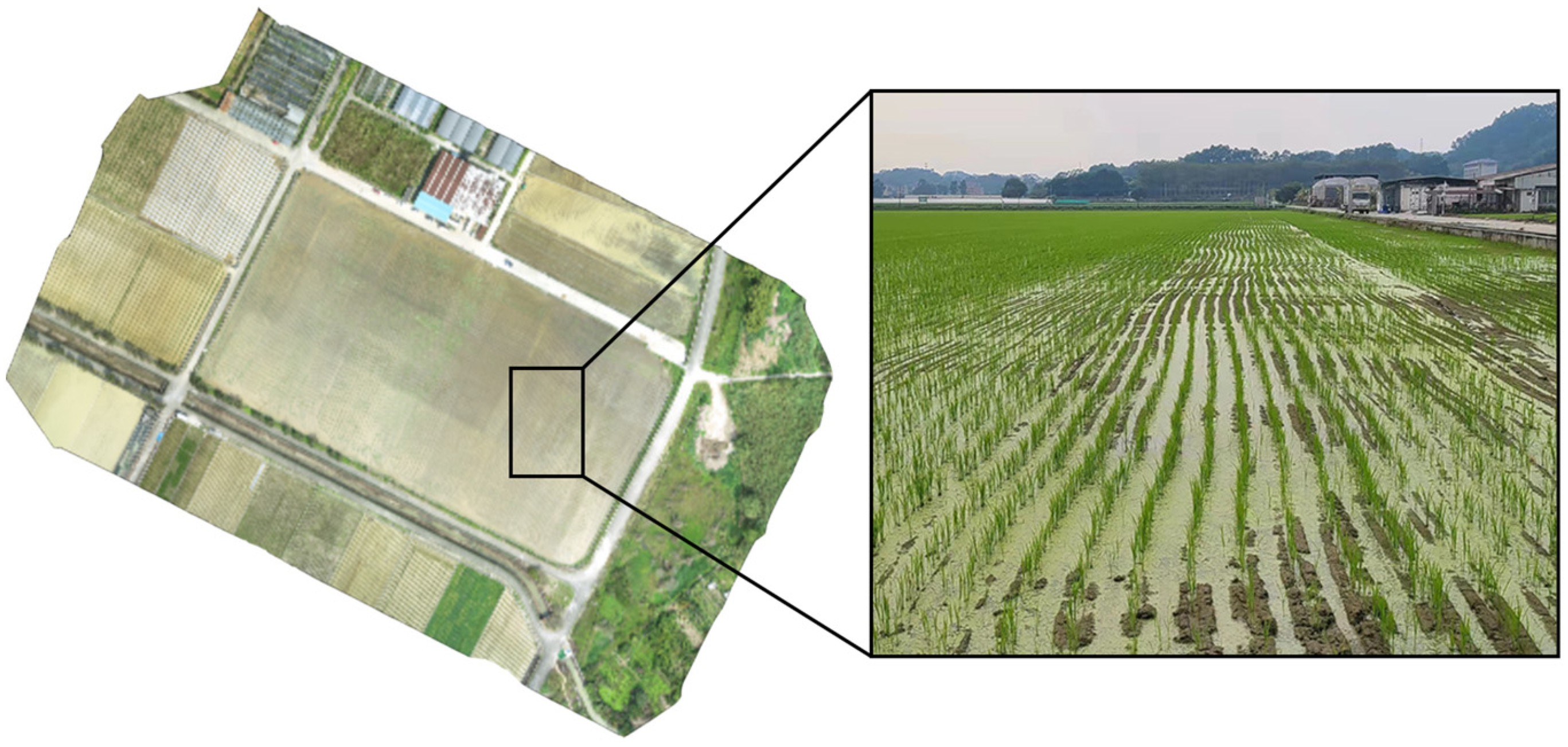 Agriculture 12 01736 g001