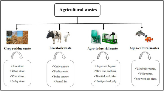 types of agro based industries