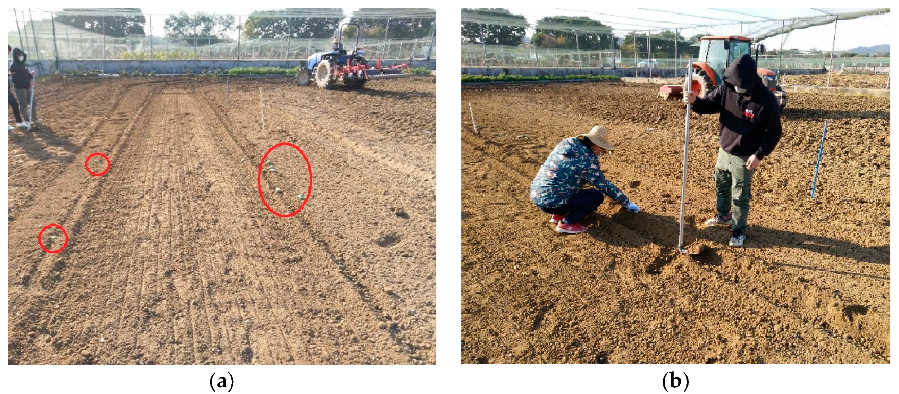 Agriculture 12 01740 g010