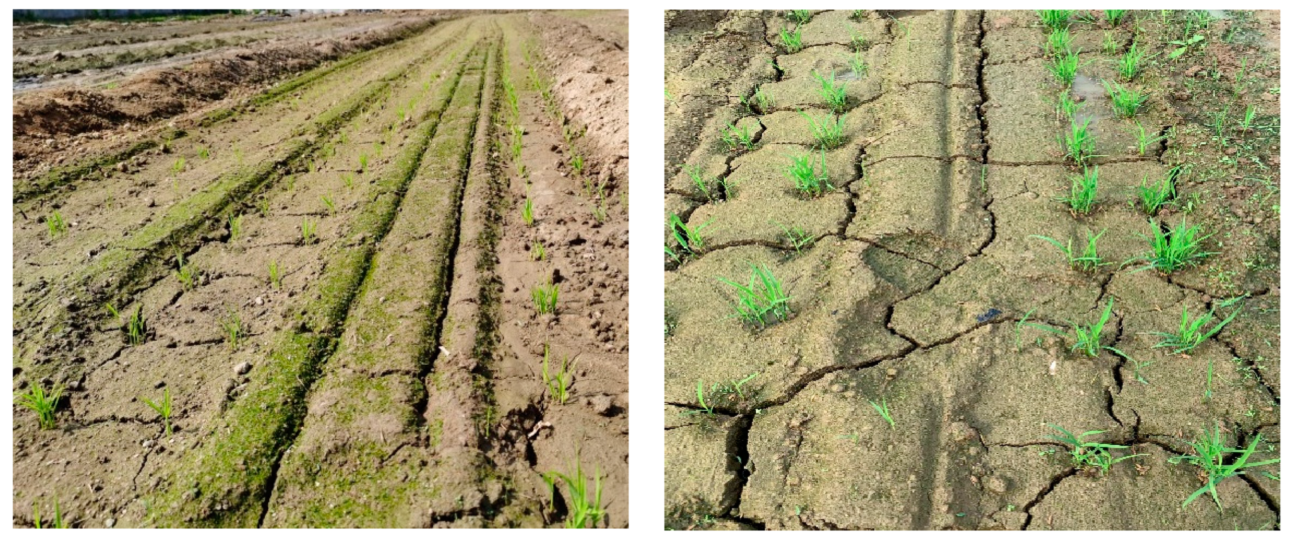 Agriculture 12 01740 g011