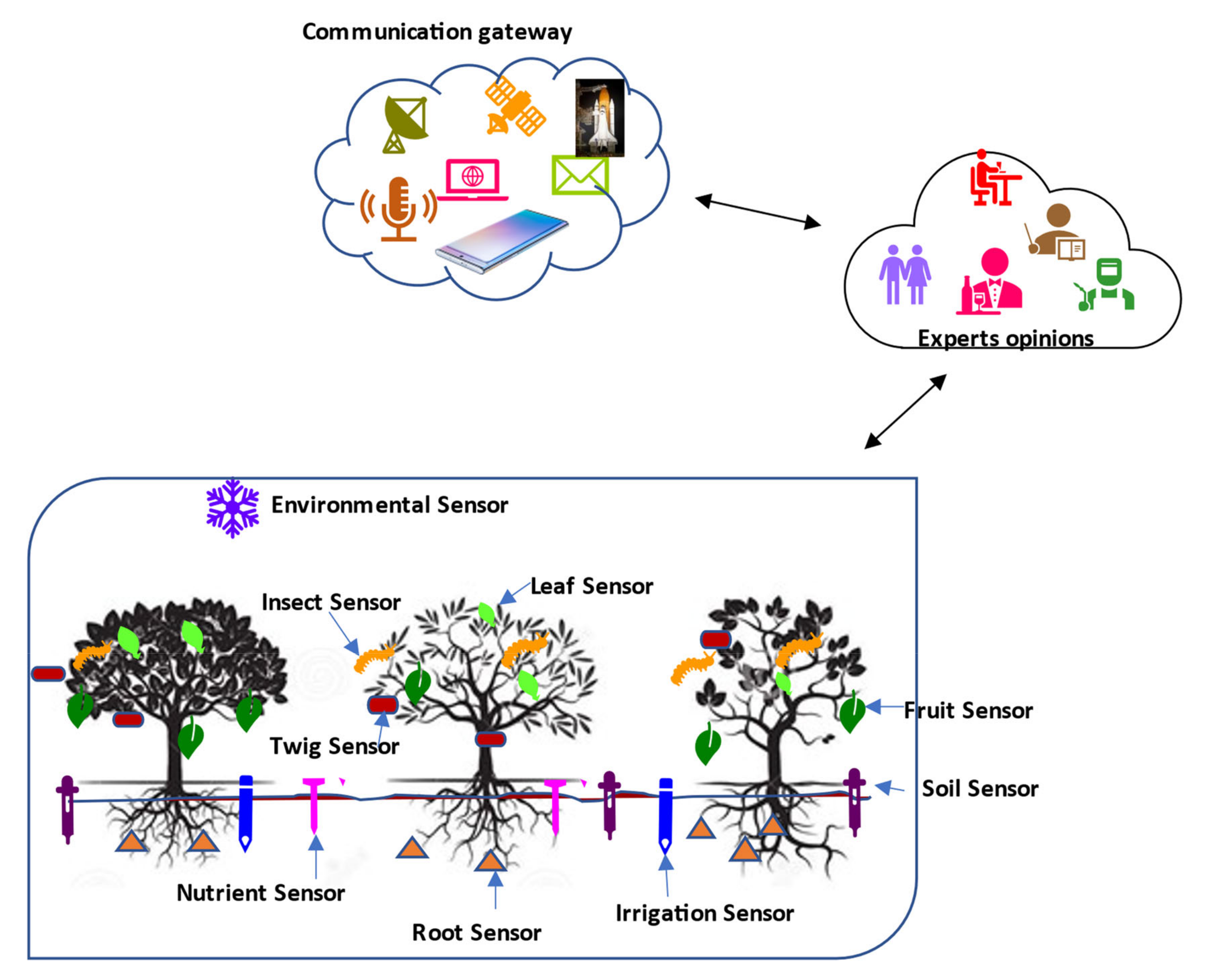 Agriculture 12 01745 g006 Agriculture 12 01745 g006