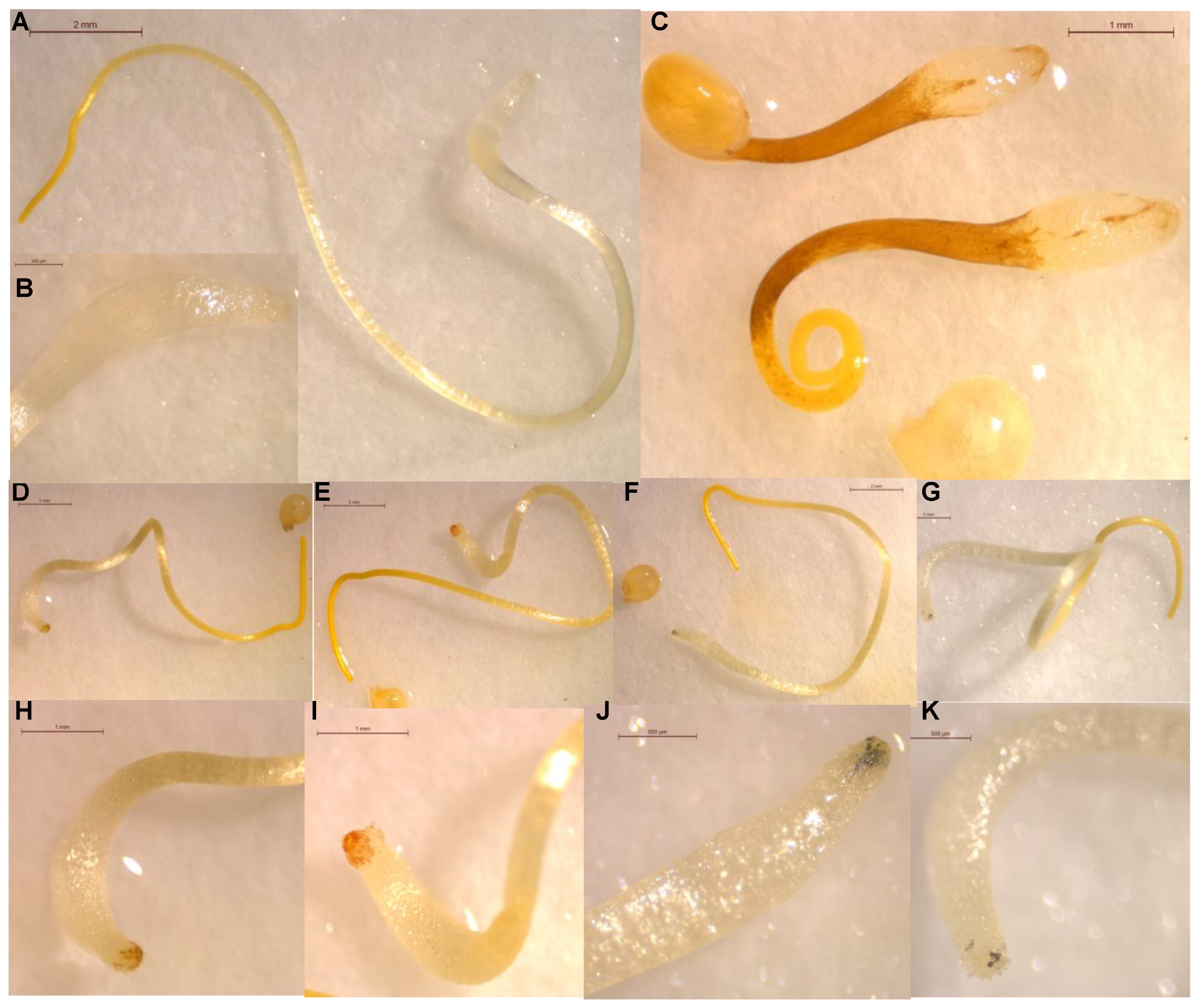 Agriculture 12 01746 g006 Agriculture 12 01746 g006