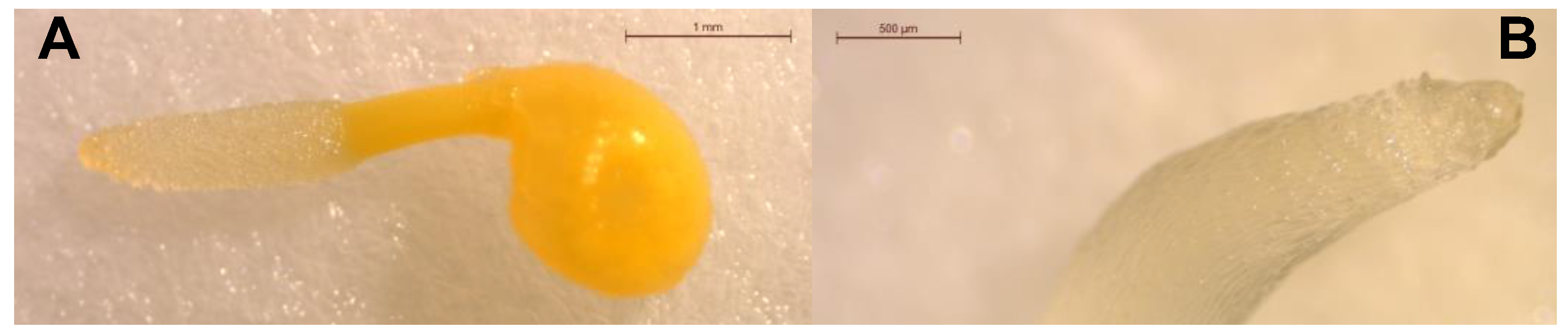 Agriculture 12 01746 g007 Agriculture 12 01746 g007