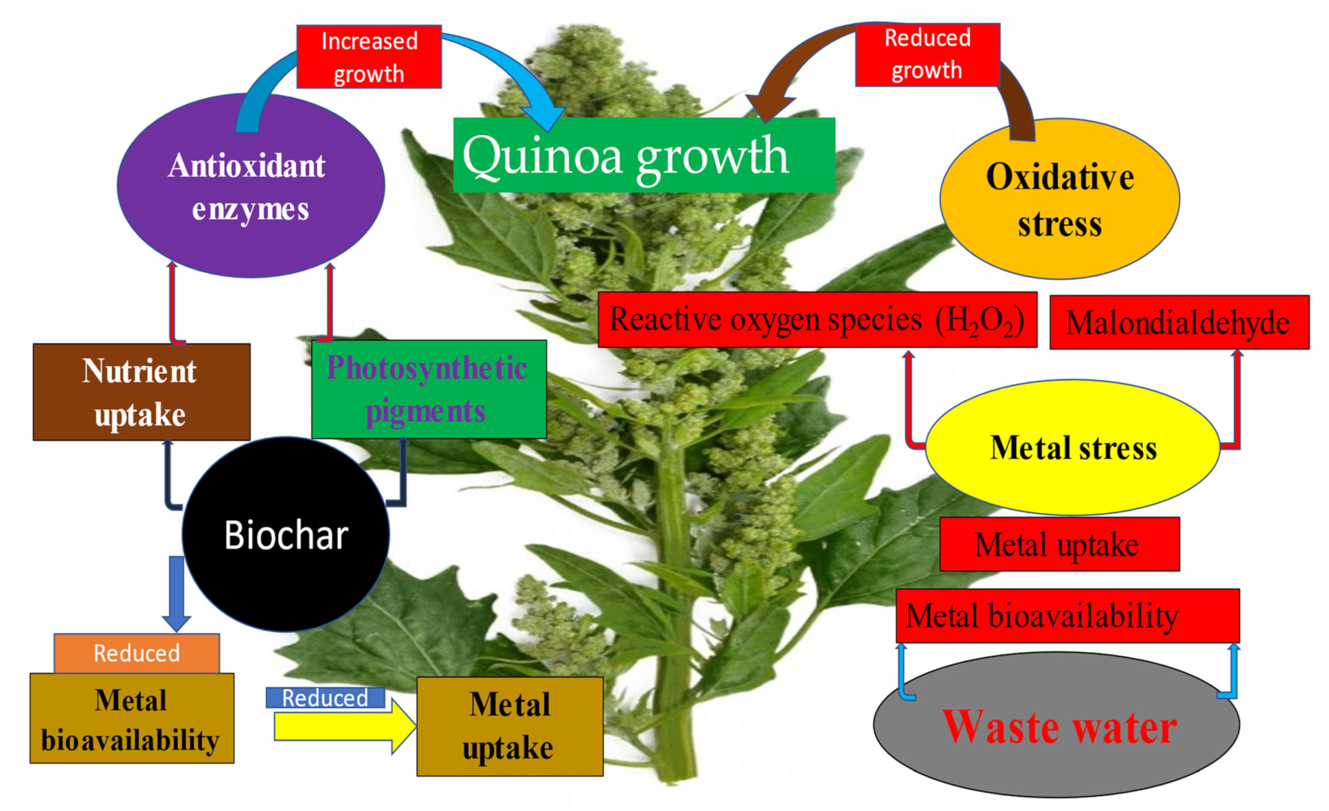 Agriculture 12 01748 g006 Agriculture 12 01748 g006