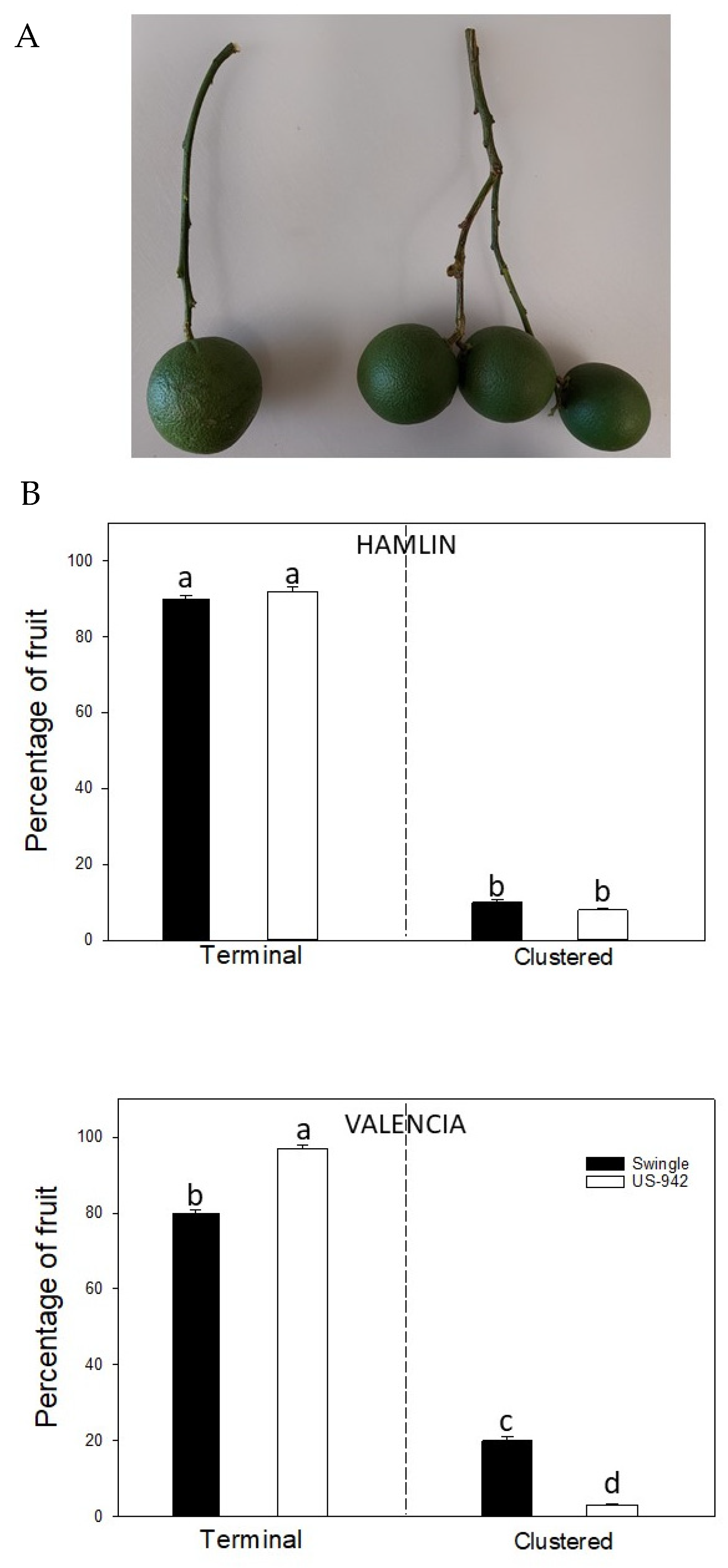 Agriculture 12 01750 g001 Agriculture 12 01750 g001