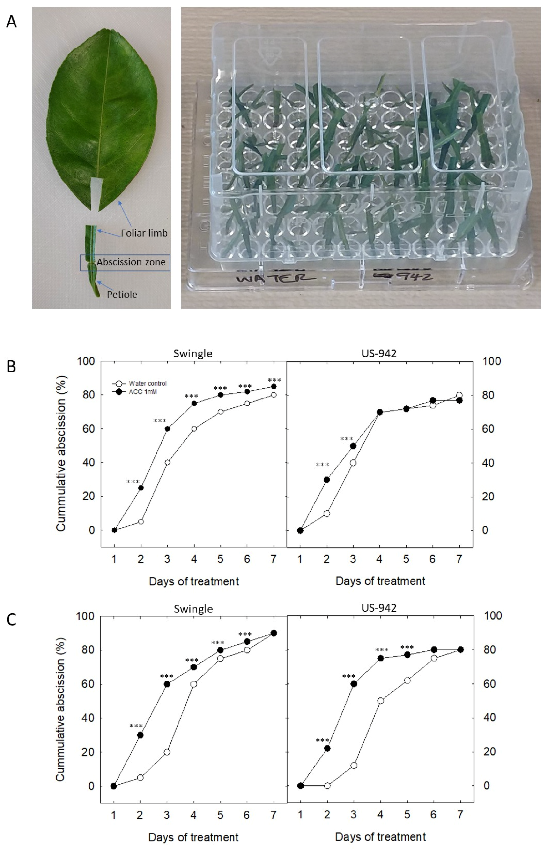 Agriculture 12 01750 g004 Agriculture 12 01750 g004