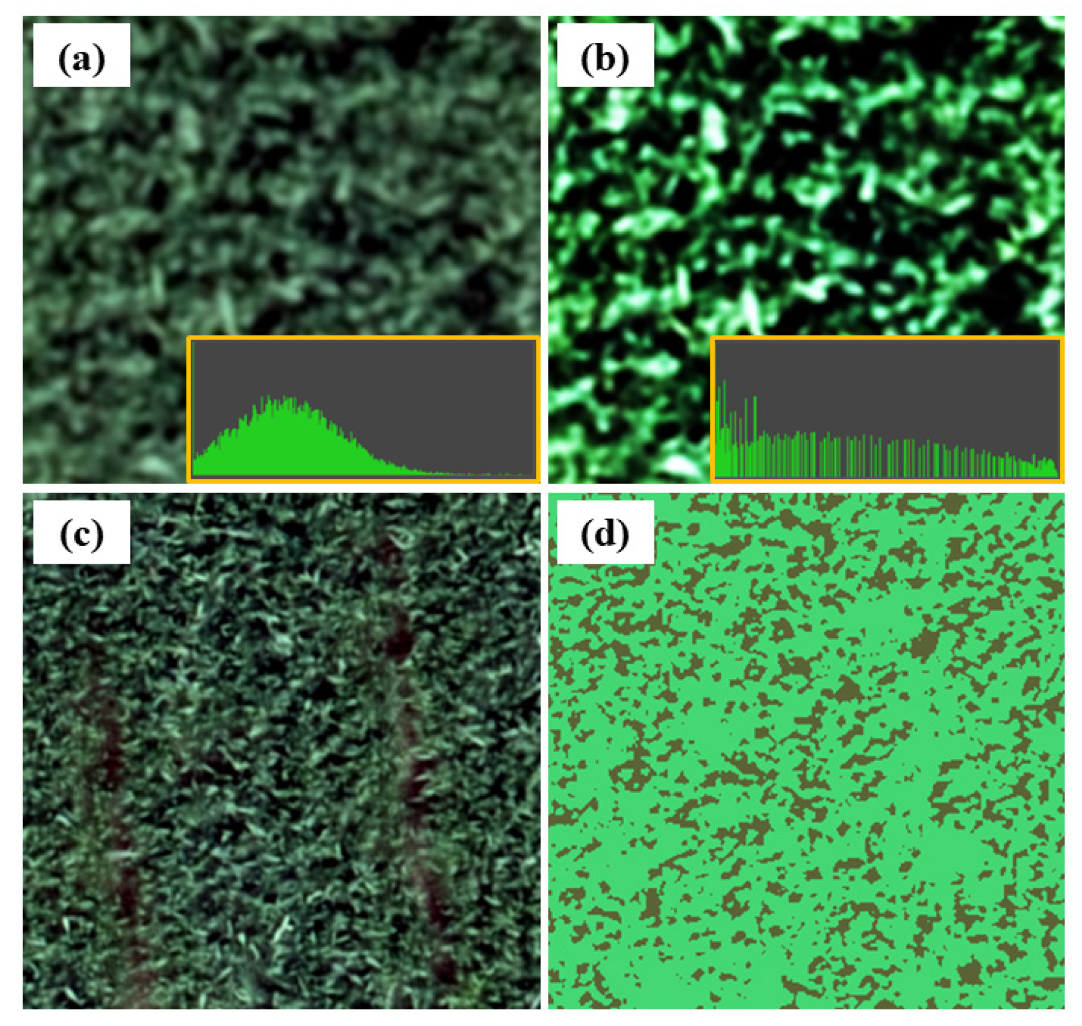 Agriculture 12 01752 g006