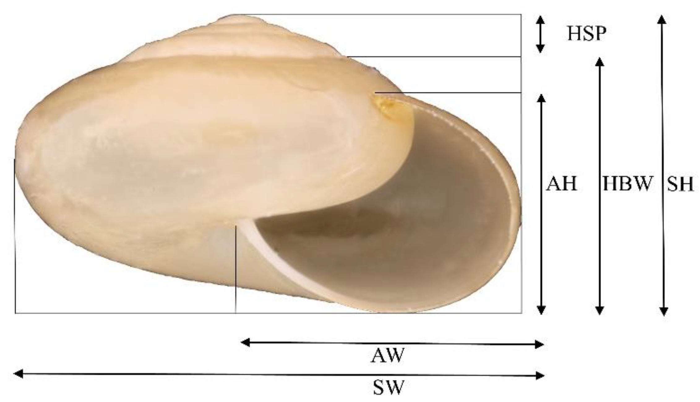 Agriculture 12 01756 g001 Agriculture 12 01756 g001