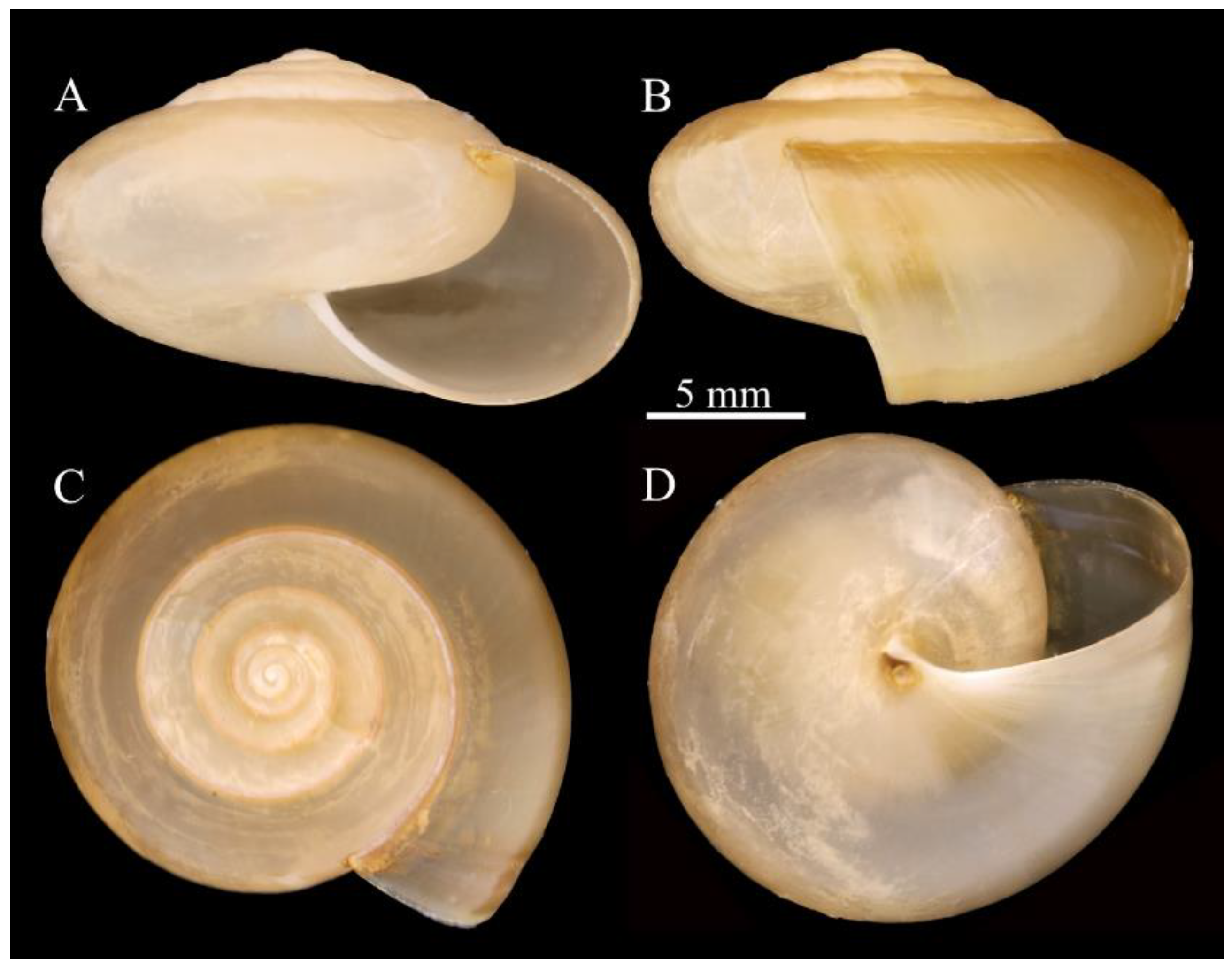 Agriculture 12 01756 g003 Agriculture 12 01756 g003