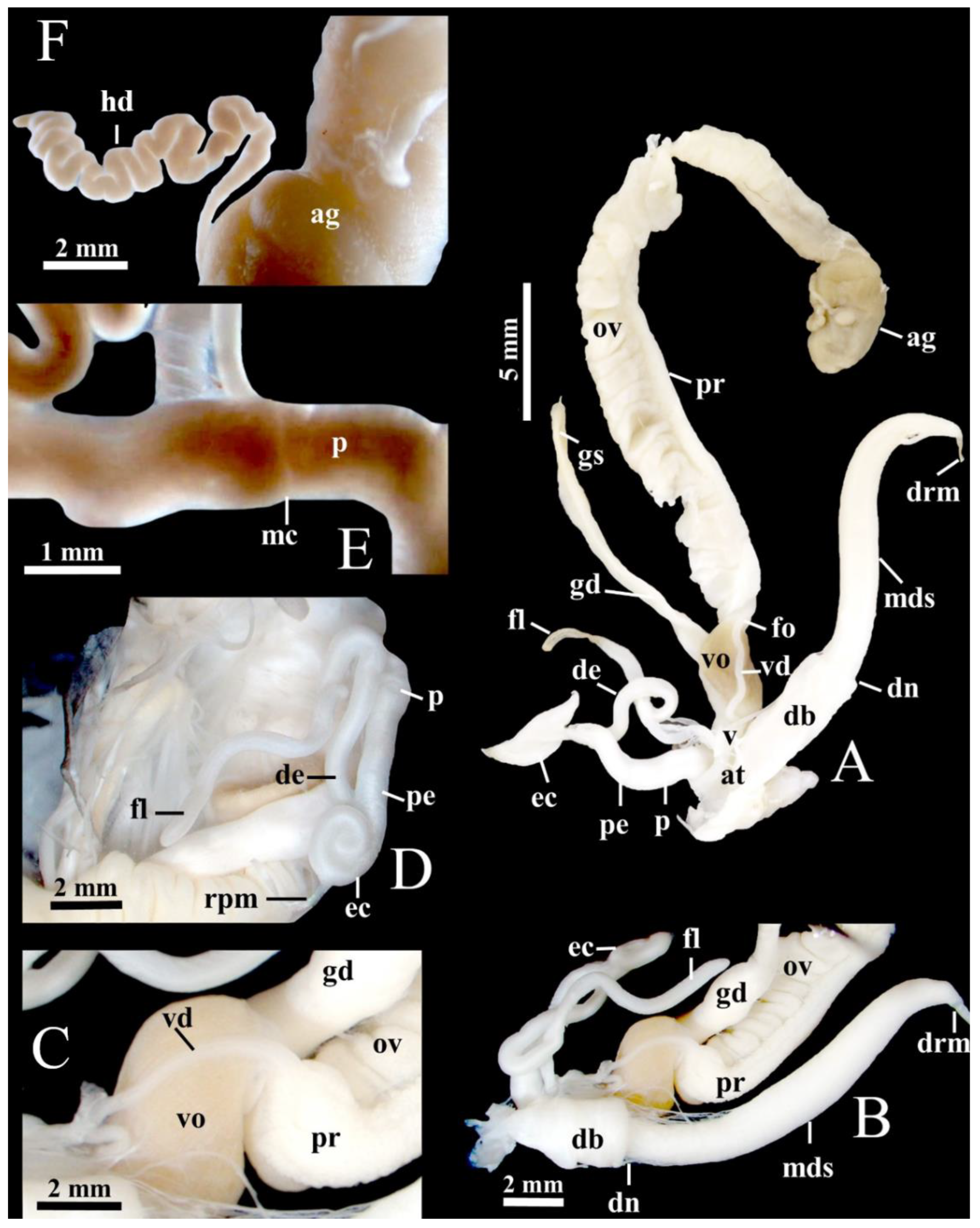 Agriculture 12 01756 g005 Agriculture 12 01756 g005