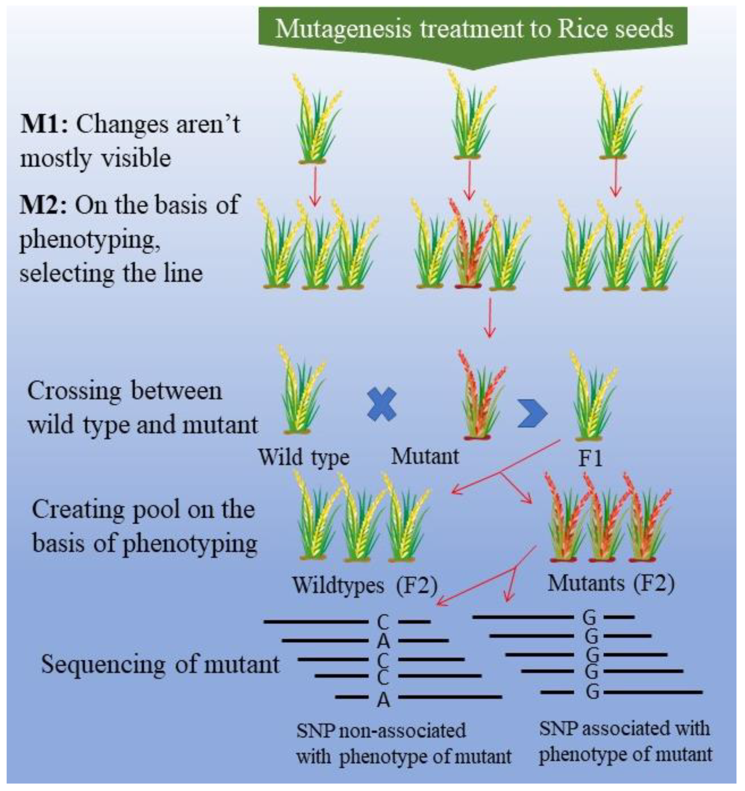 Agriculture 12 01757 g001 Agriculture 12 01757 g001