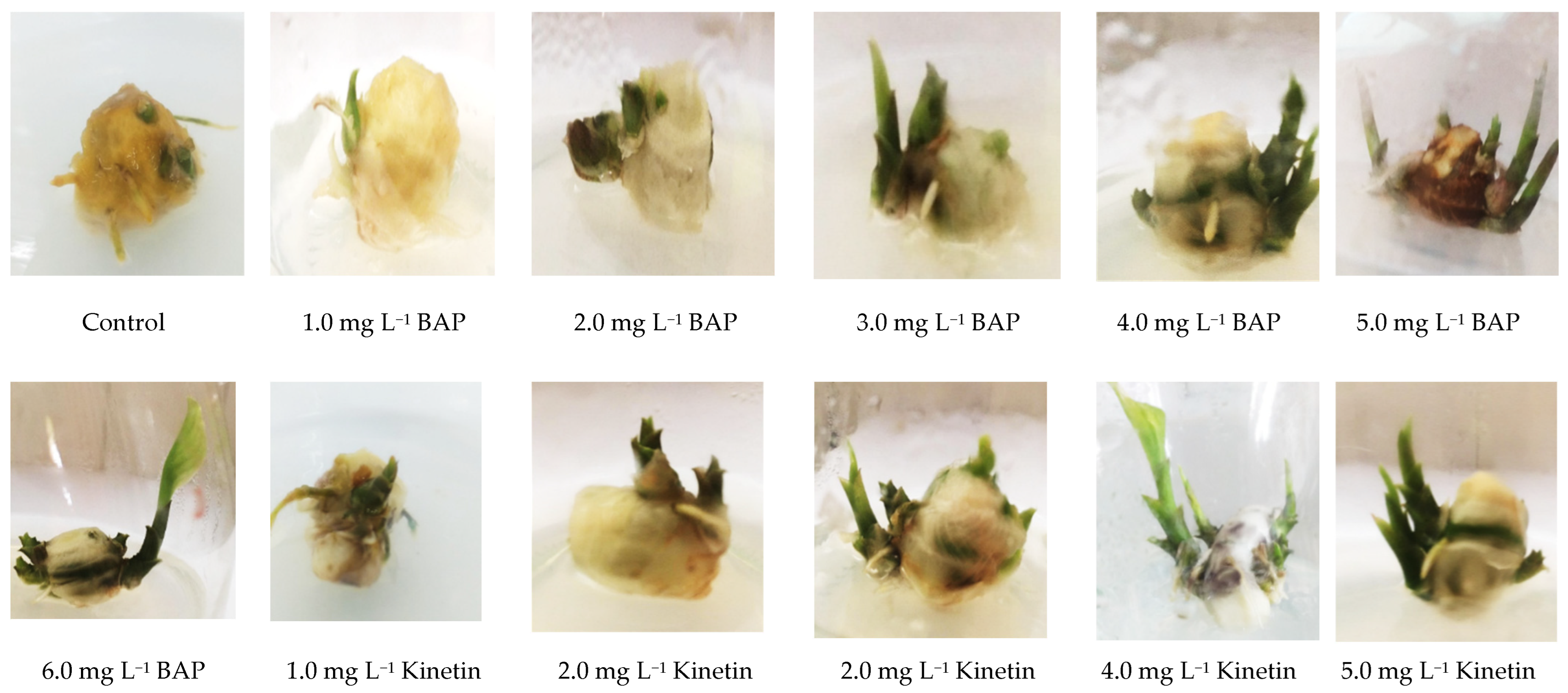 Agriculture 12 01766 g001 Agriculture 12 01766 g001