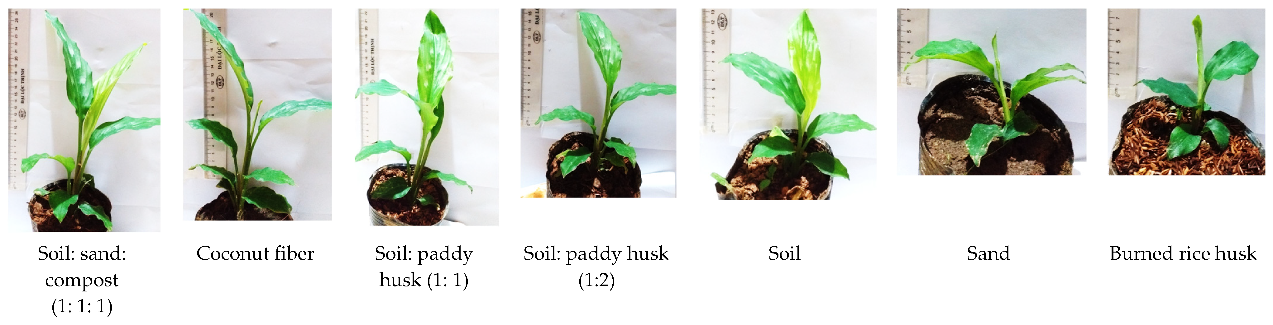 Agriculture 12 01766 g005 Agriculture 12 01766 g005