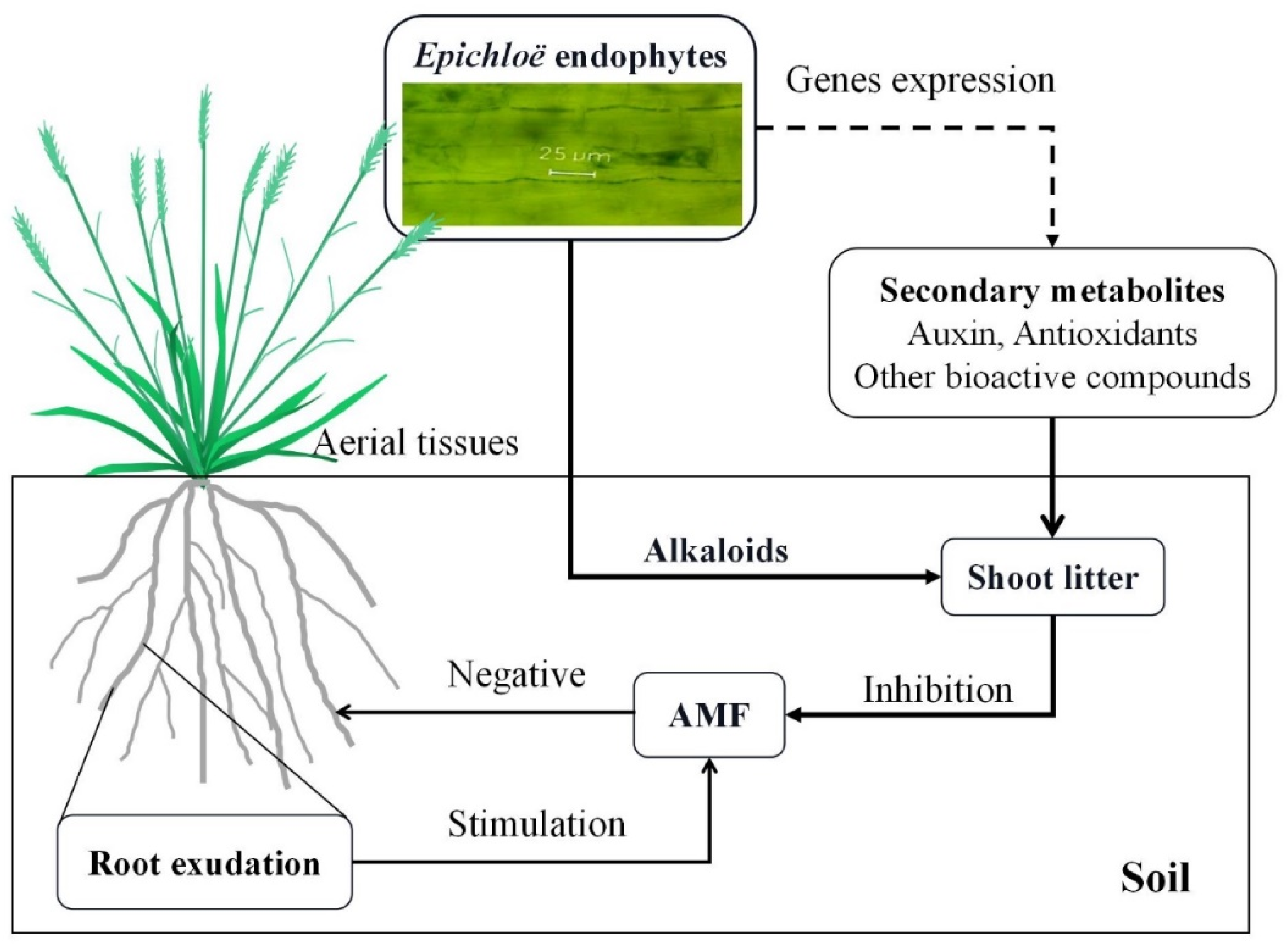 Agriculture 12 01768 g003