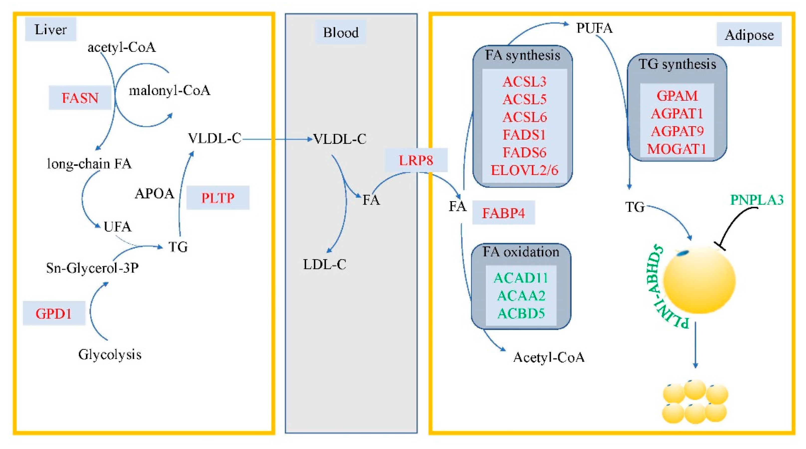 Agriculture 12 01775 g009