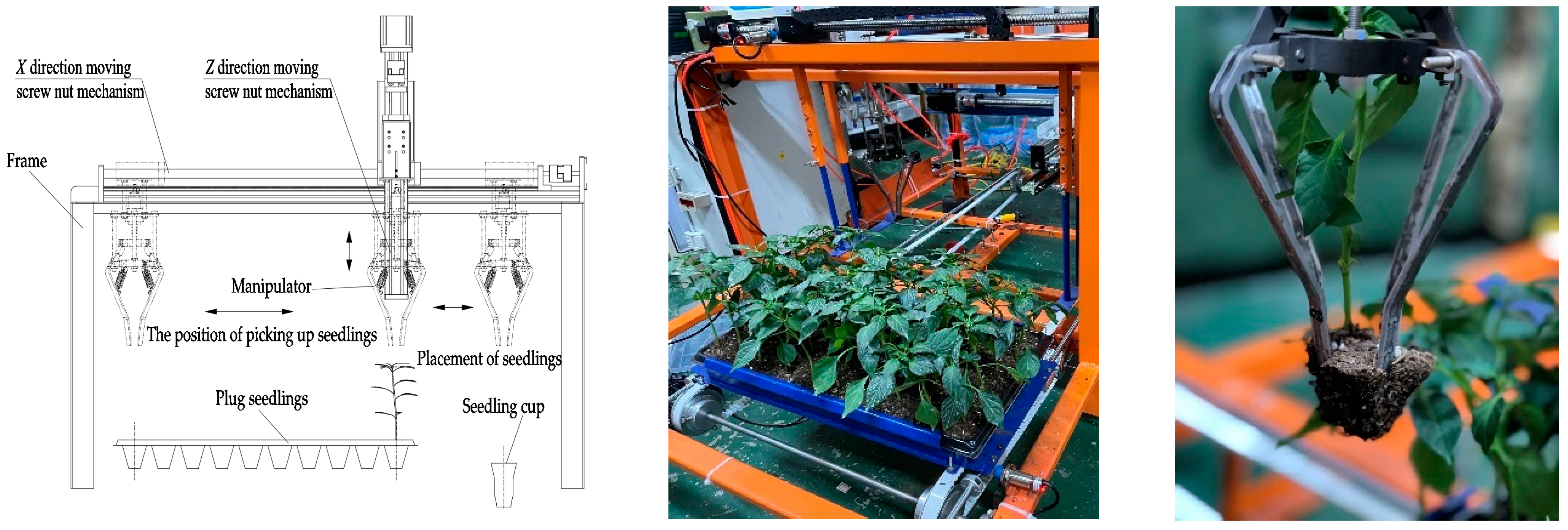 Agriculture 12 01776 g014