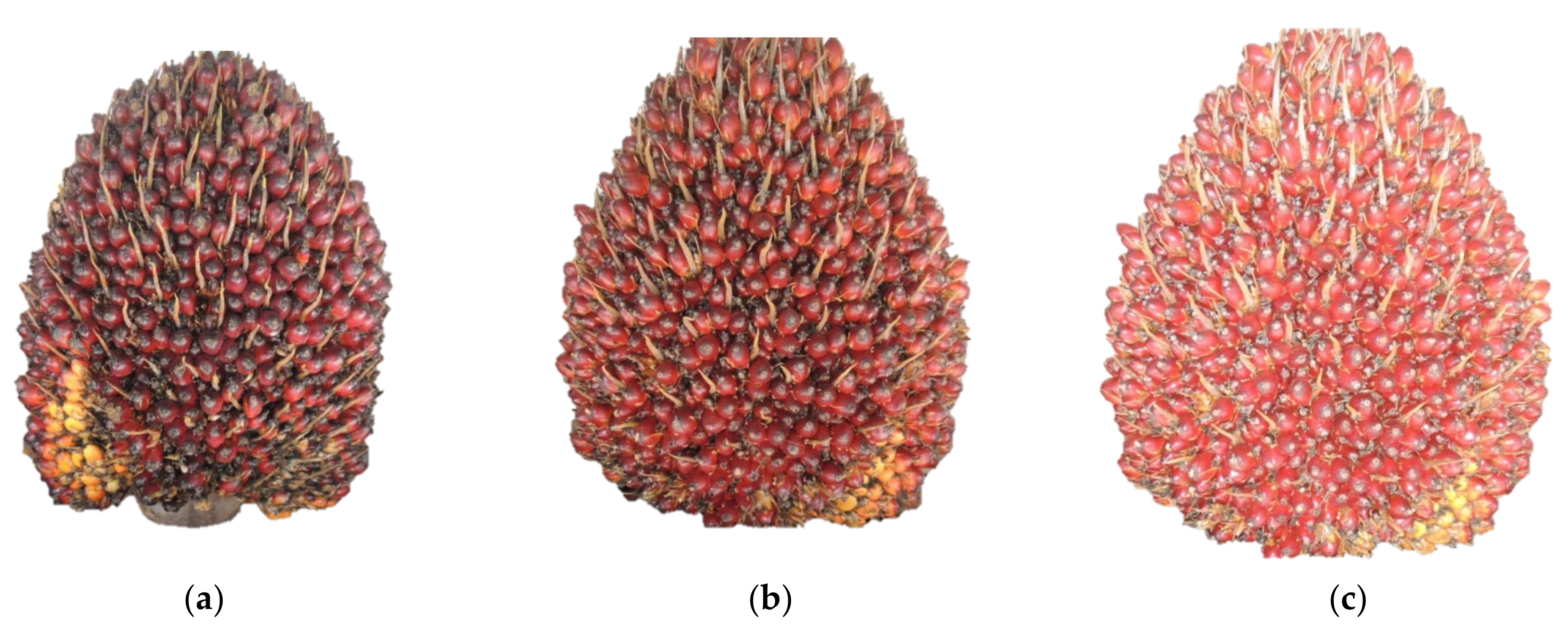 Agriculture 12 01779 g003