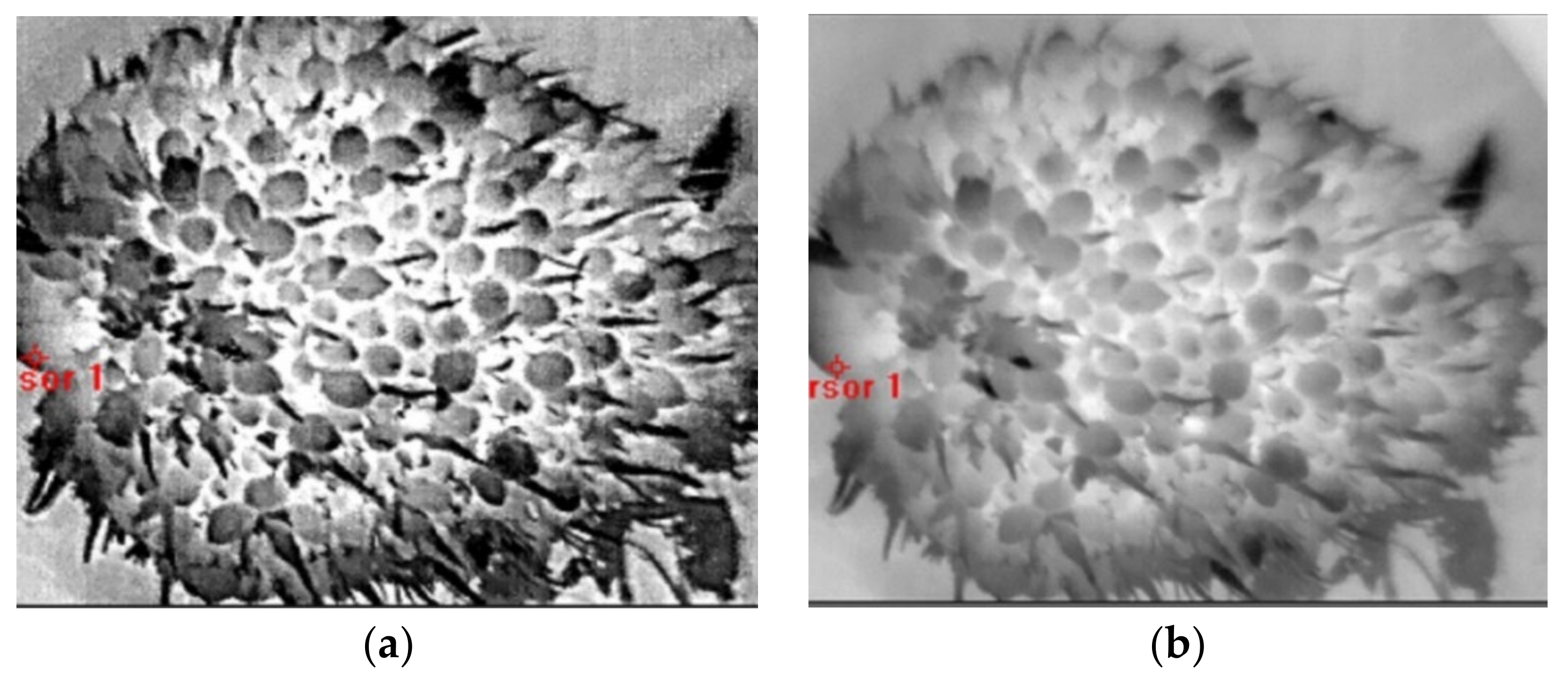 Agriculture 12 01779 g004