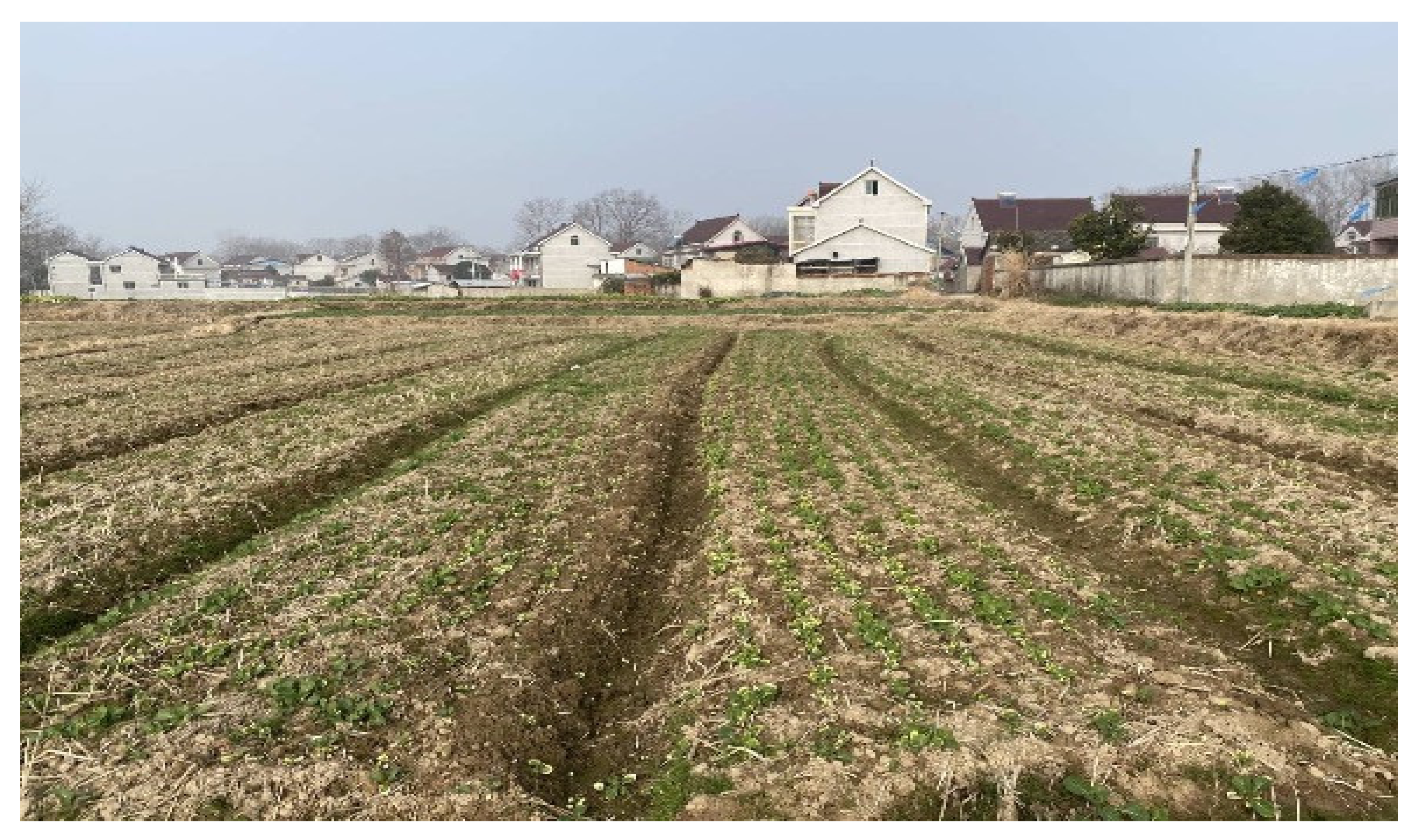 Agriculture 12 01781 g013