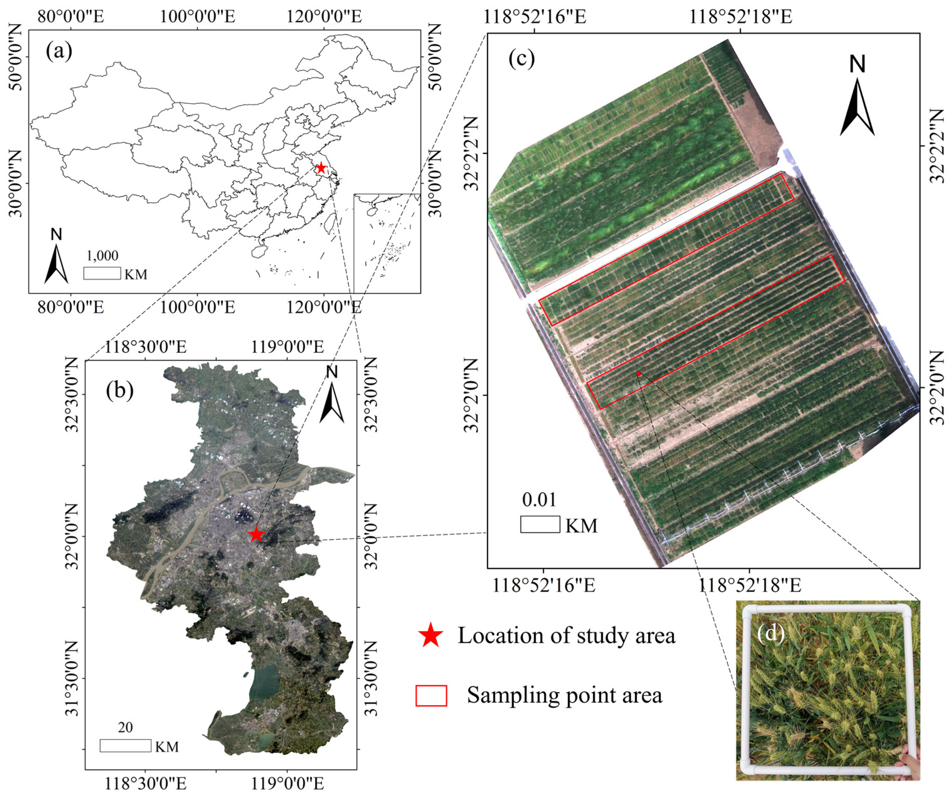 Agriculture 12 01785 g001 550