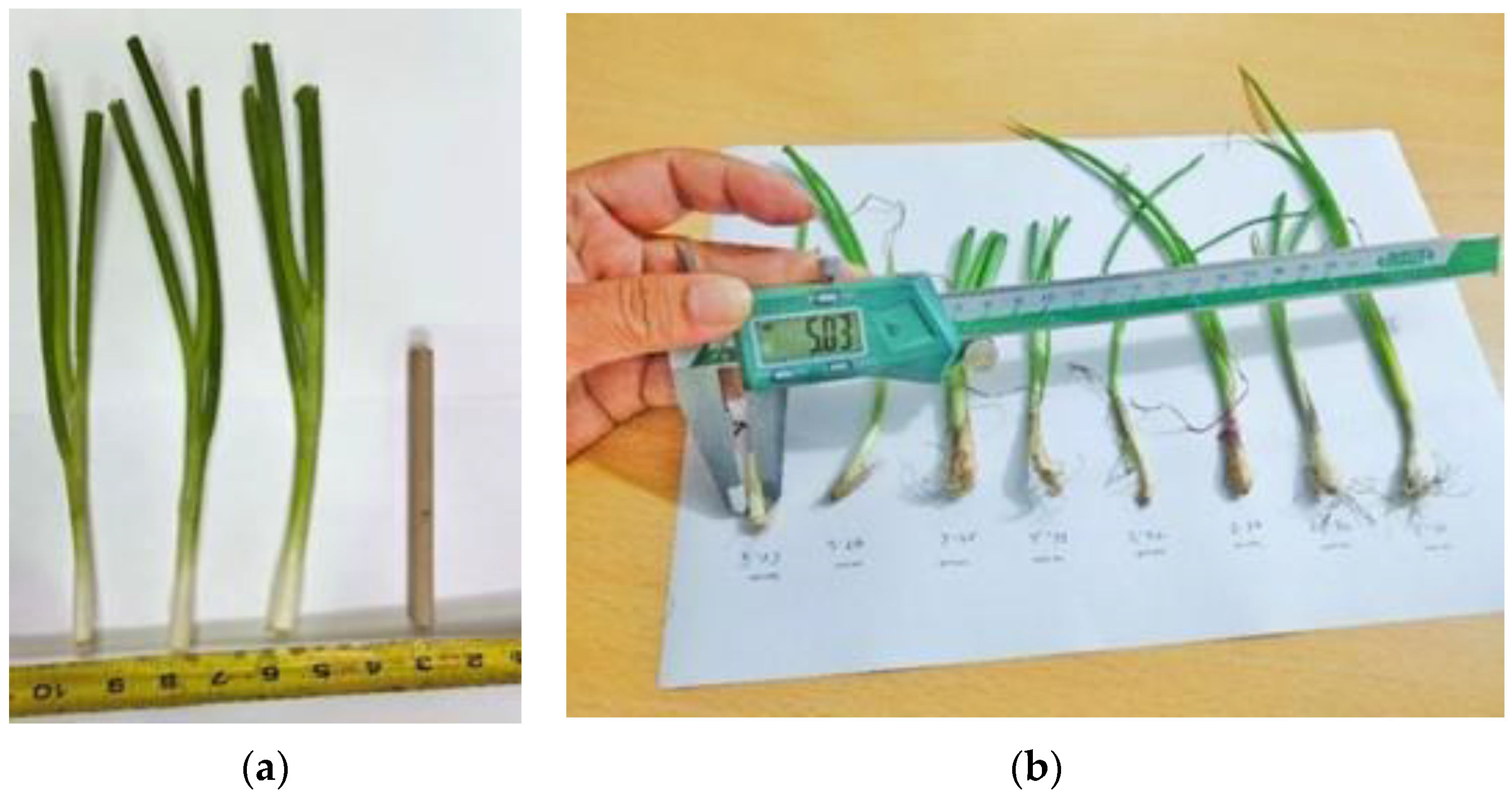 Agriculture 12 01790 g012 550
