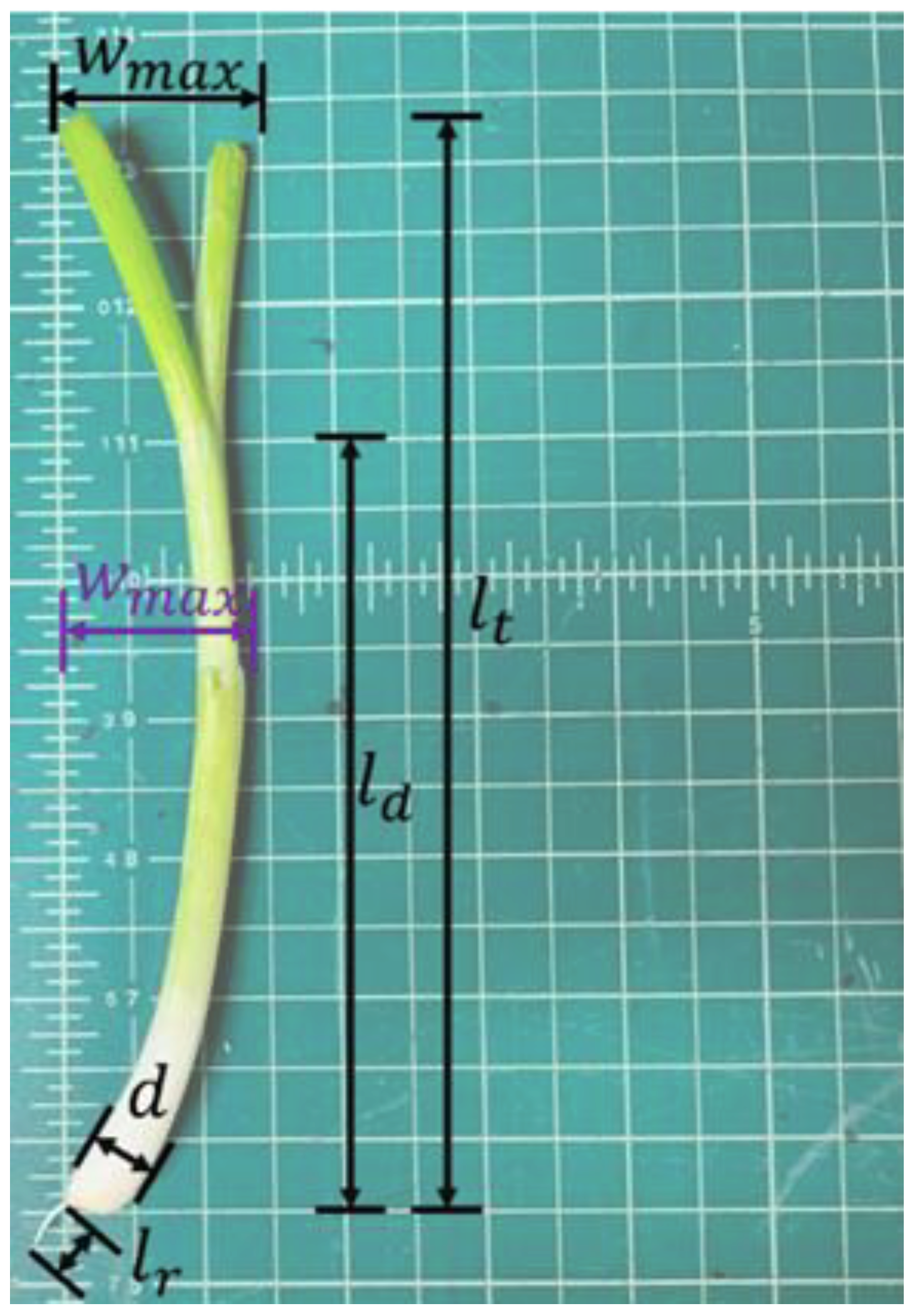 Agriculture 12 01790 g013 550