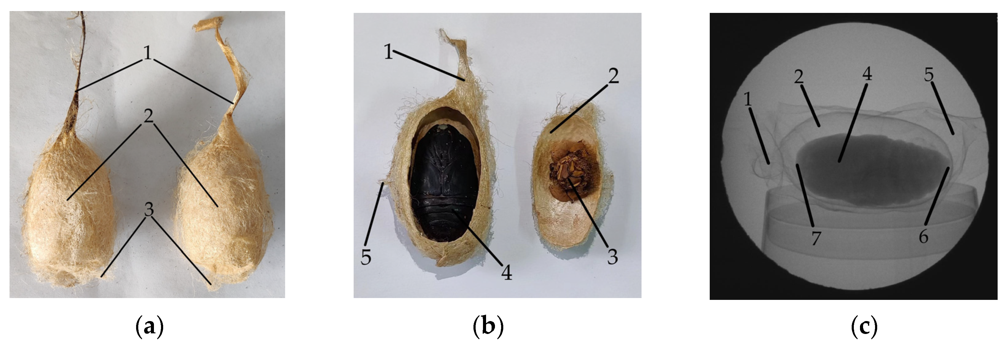 Agriculture 12 01792 g001