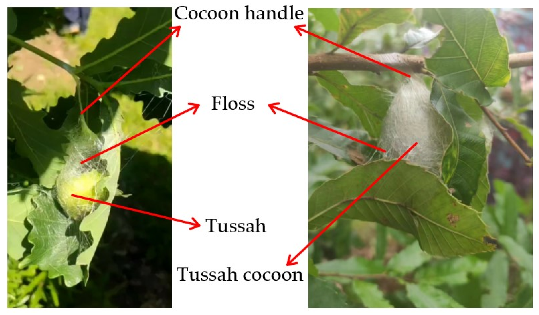 Agriculture 12 01792 g002