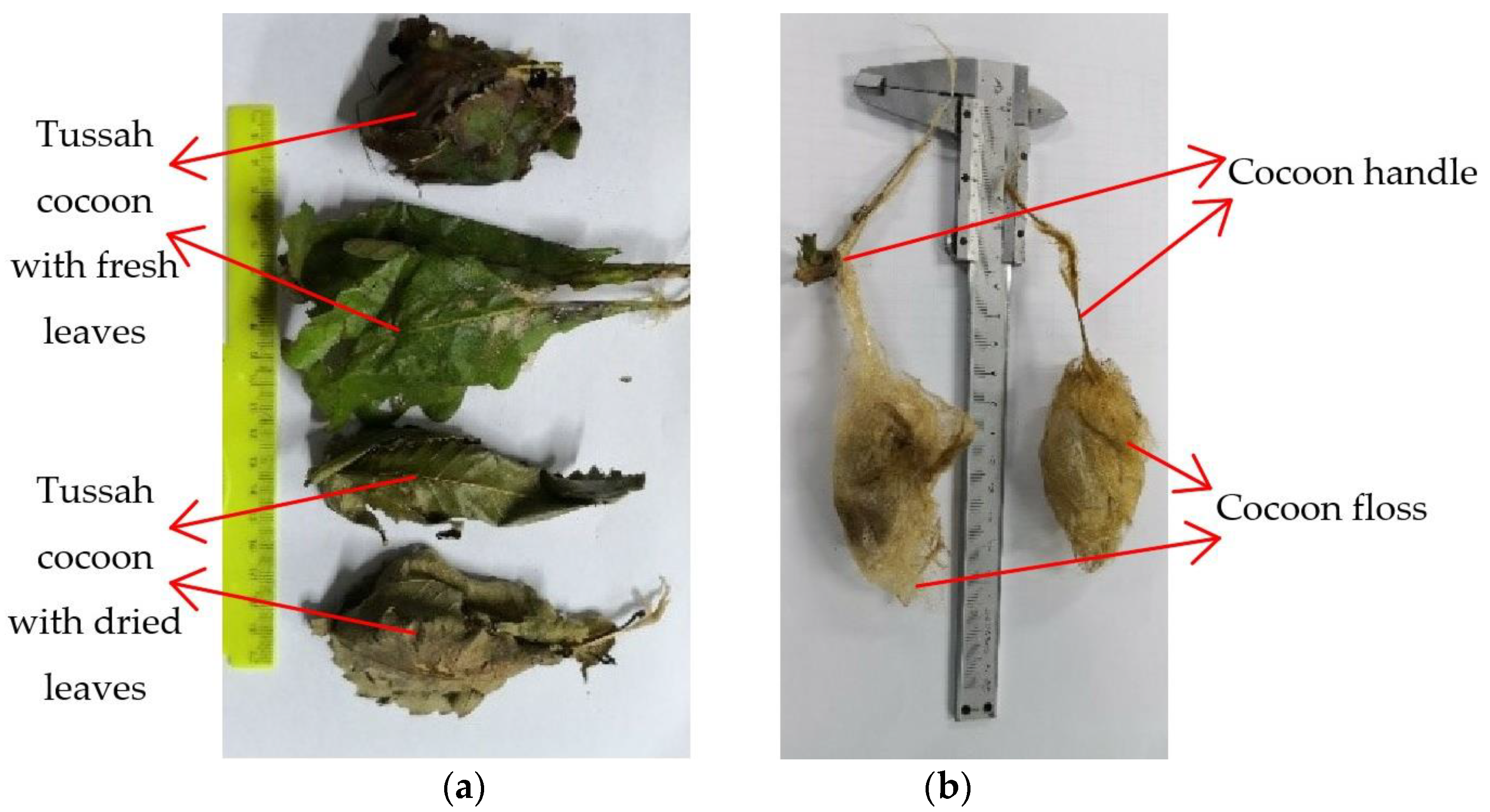 Agriculture 12 01792 g003