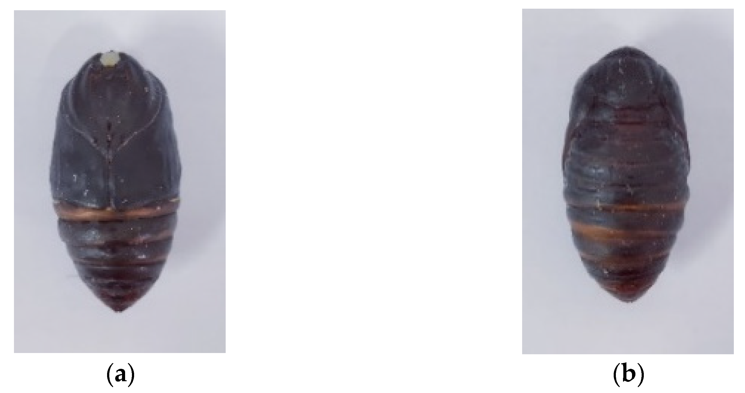 Agriculture 12 01792 g005