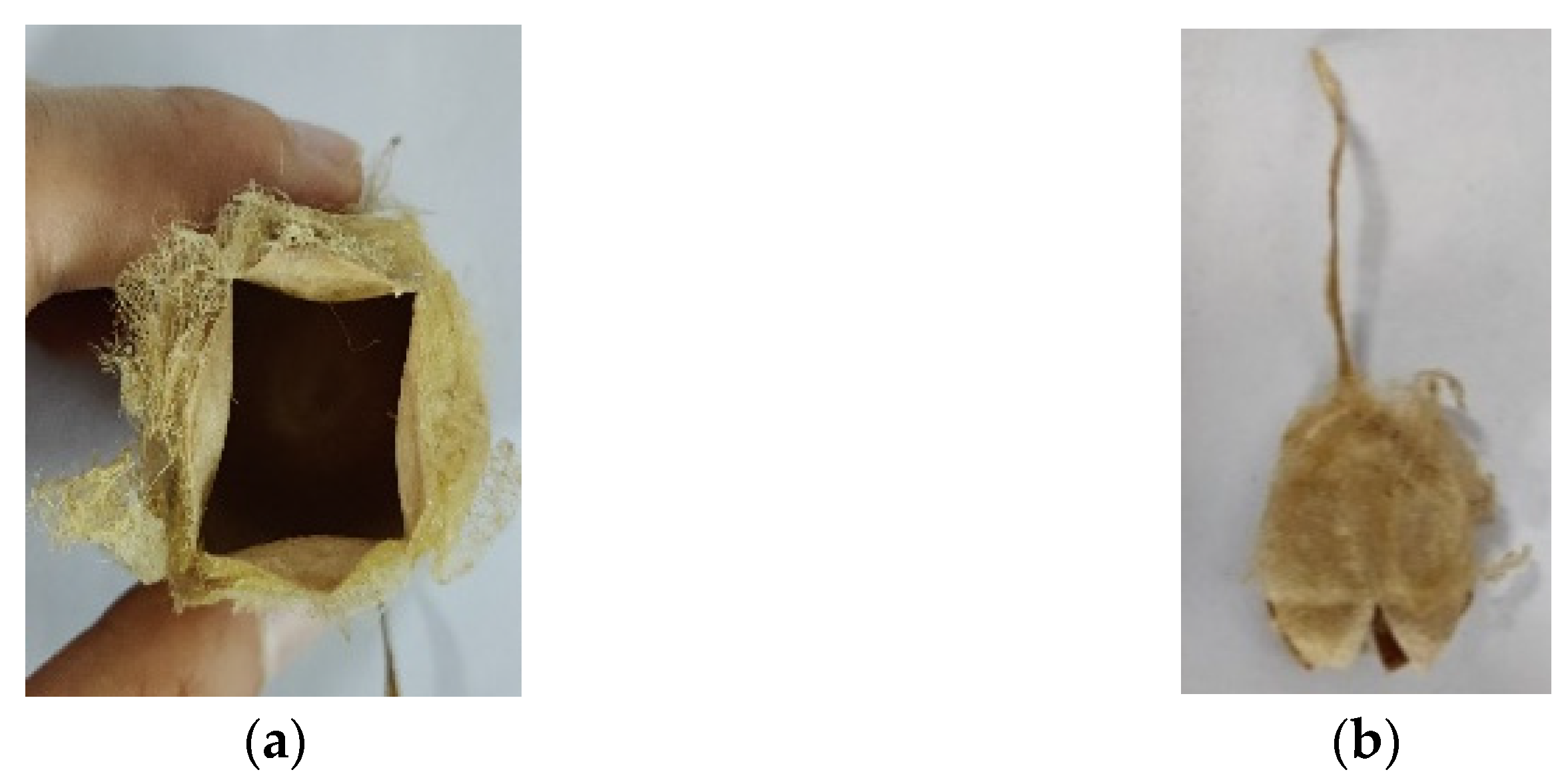 Agriculture 12 01792 g006