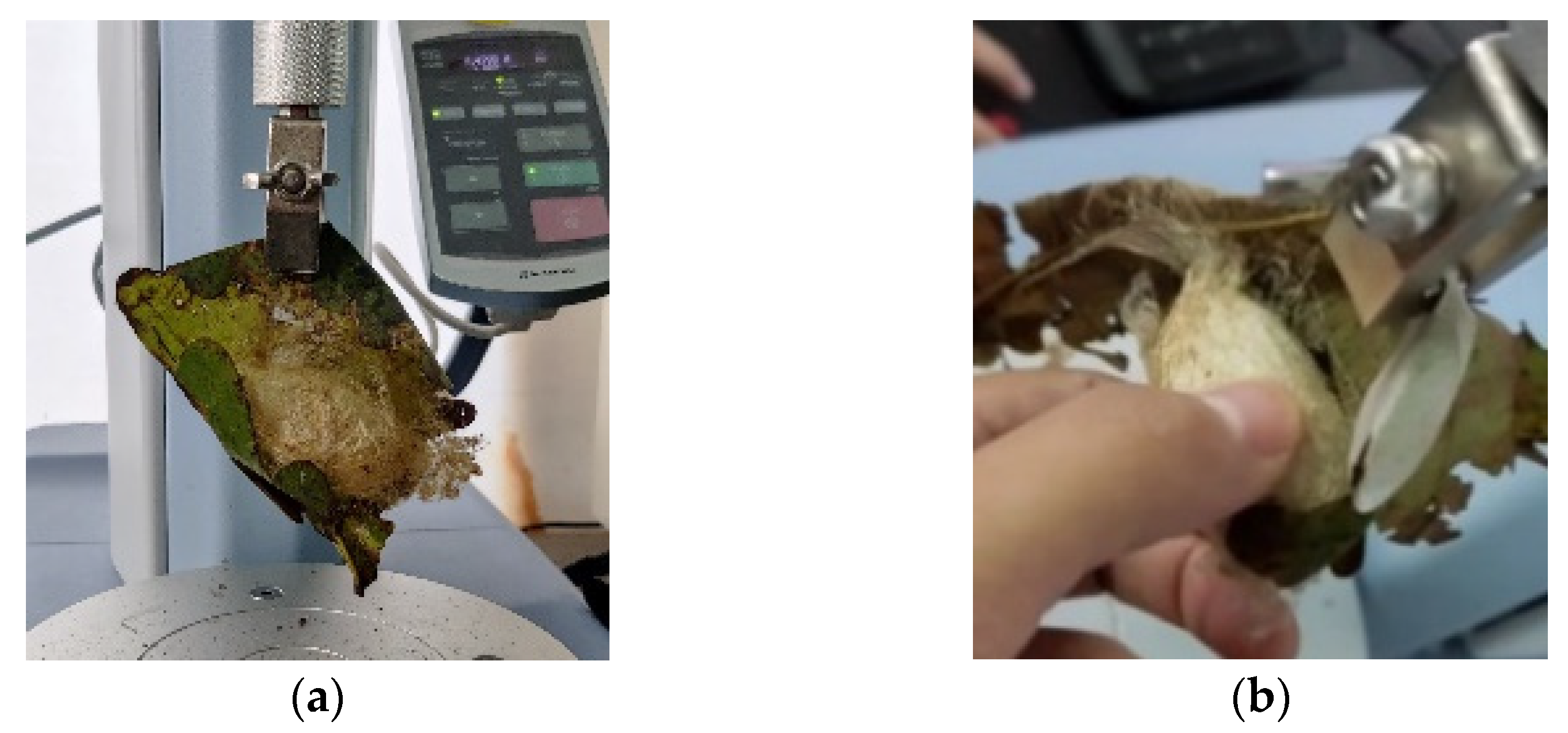 Agriculture 12 01792 g007