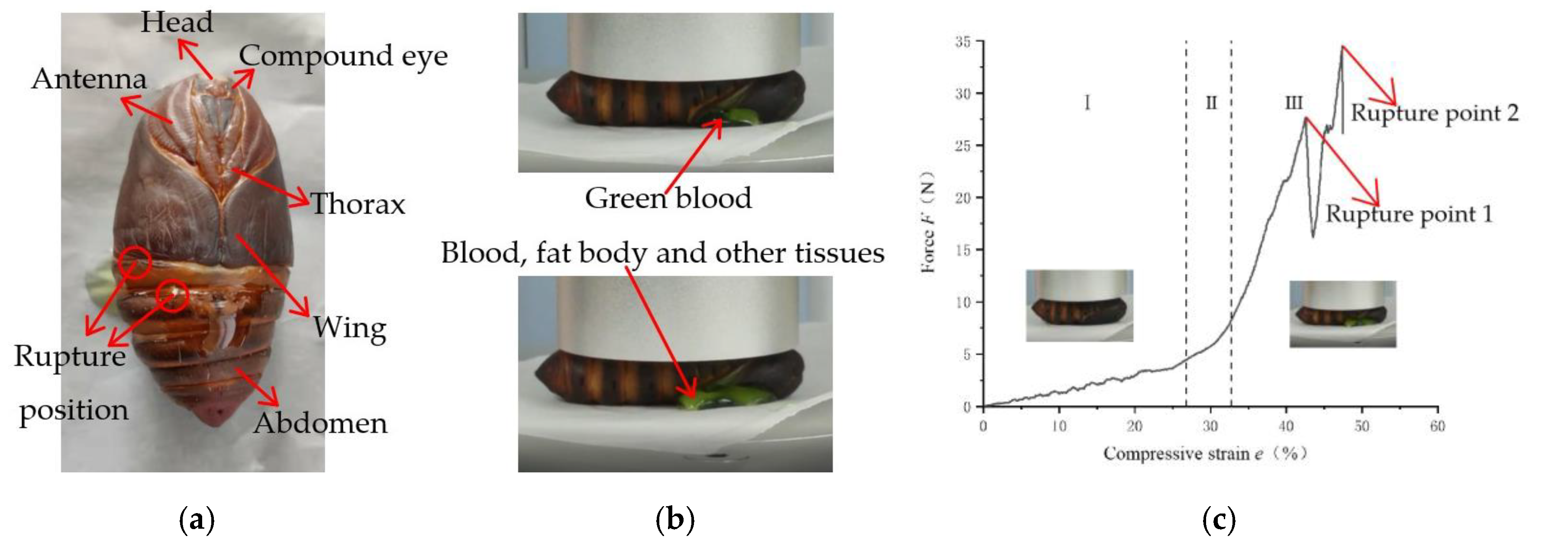 Agriculture 12 01792 g008