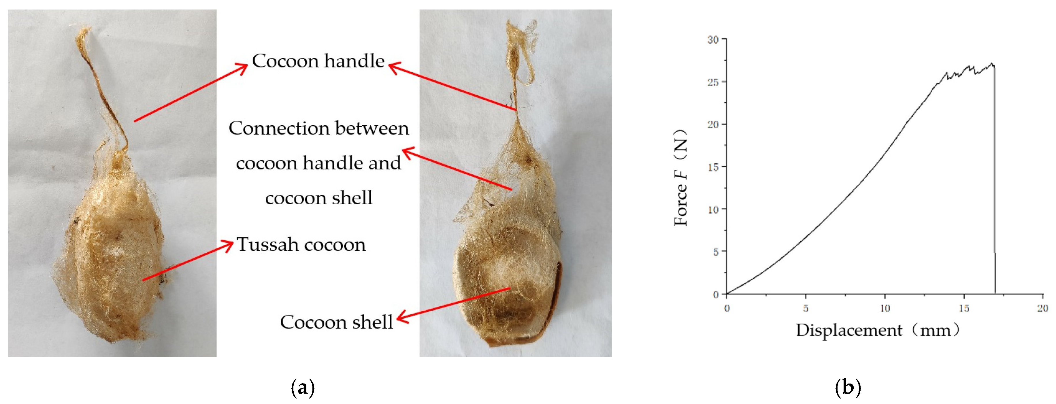 Agriculture 12 01792 g013