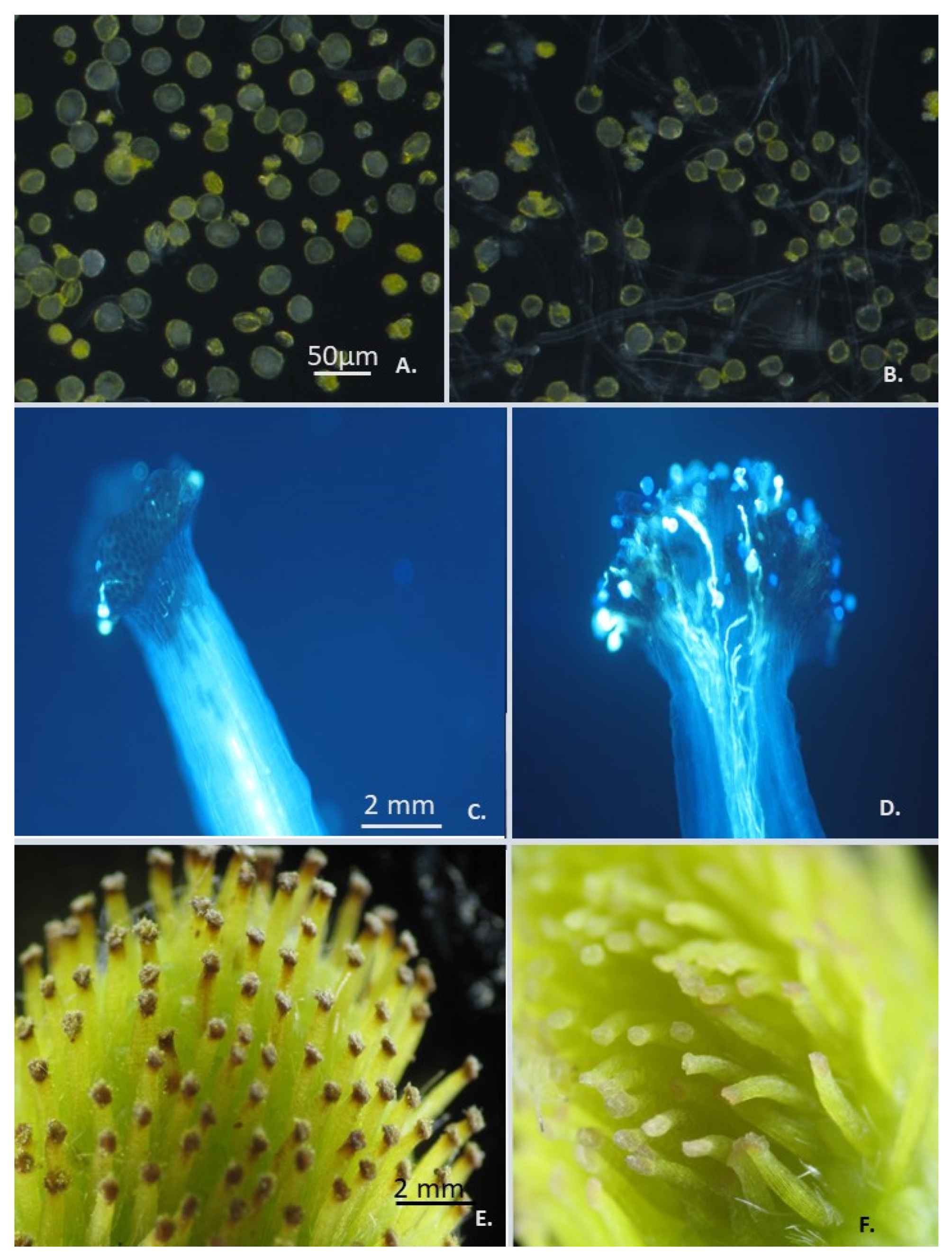 Agriculture 12 01795 g002 Agriculture 12 01795 g002