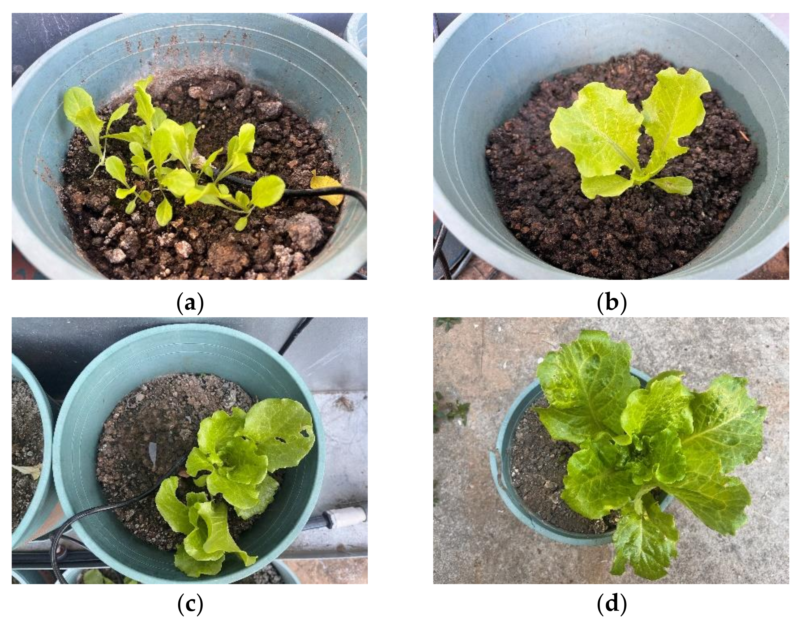 Agriculture 12 01796 g001 550