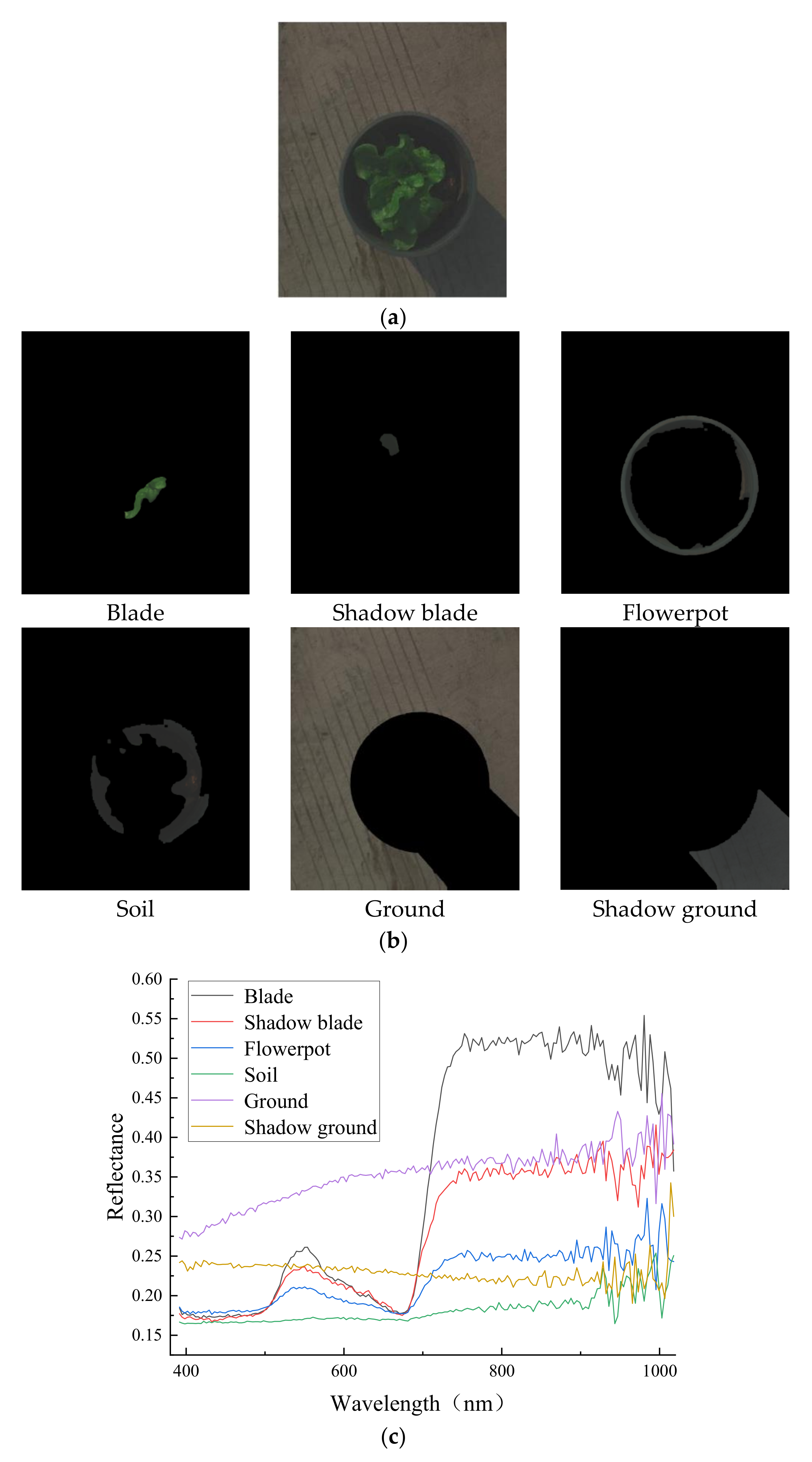 Agriculture 12 01796 g003a 550