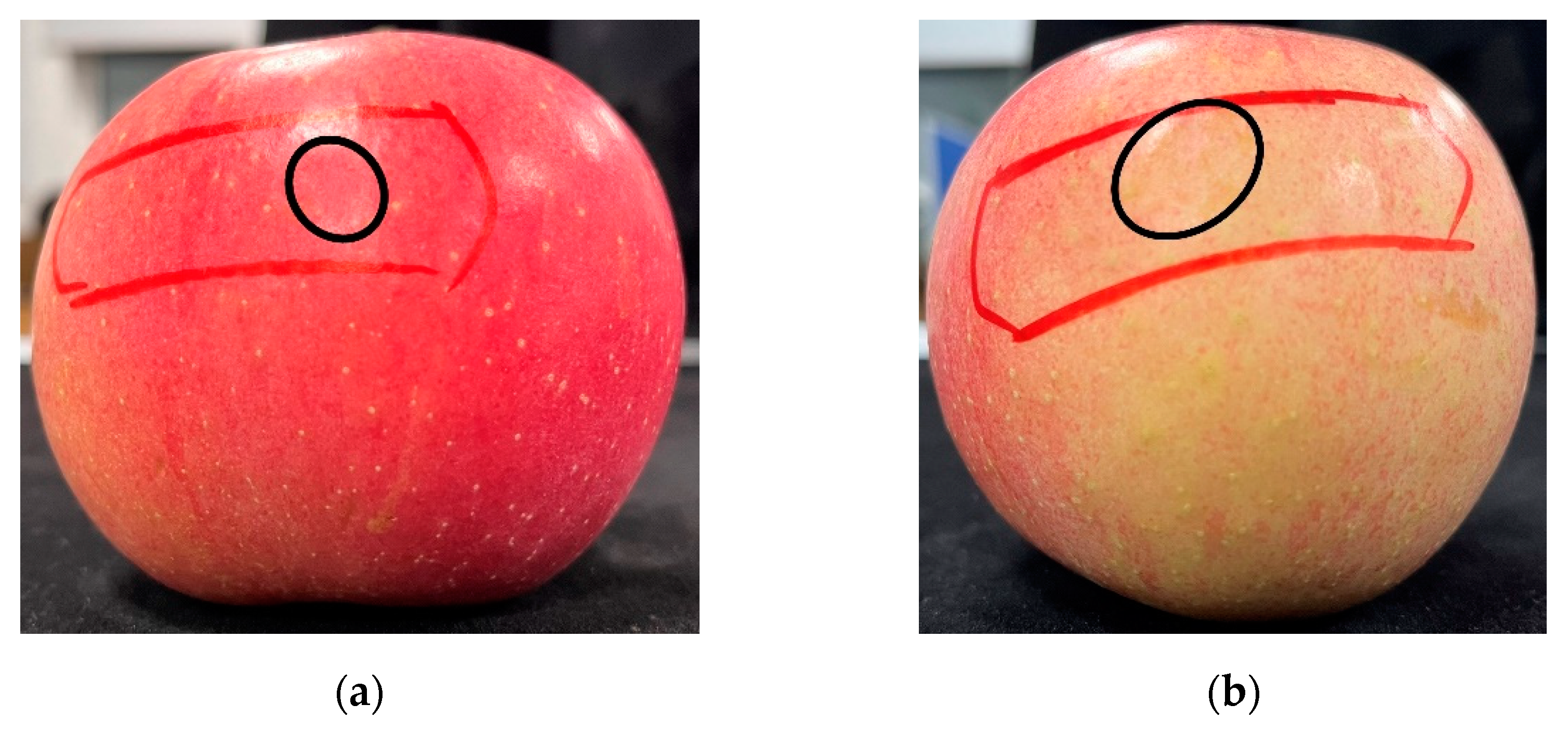 Agriculture 12 01802 g025