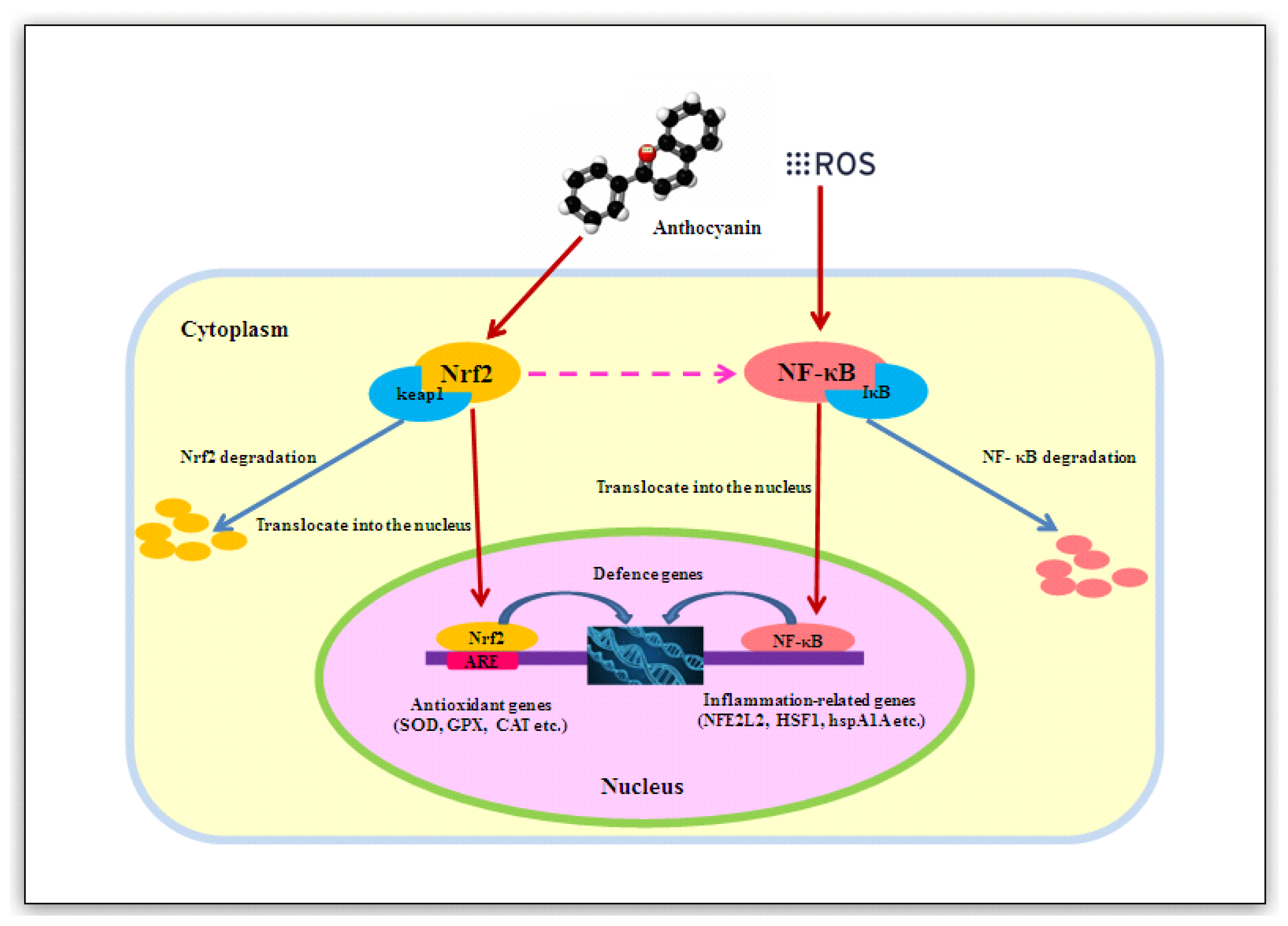 Agriculture 12 01806 g002 Agriculture 12 01806 g002