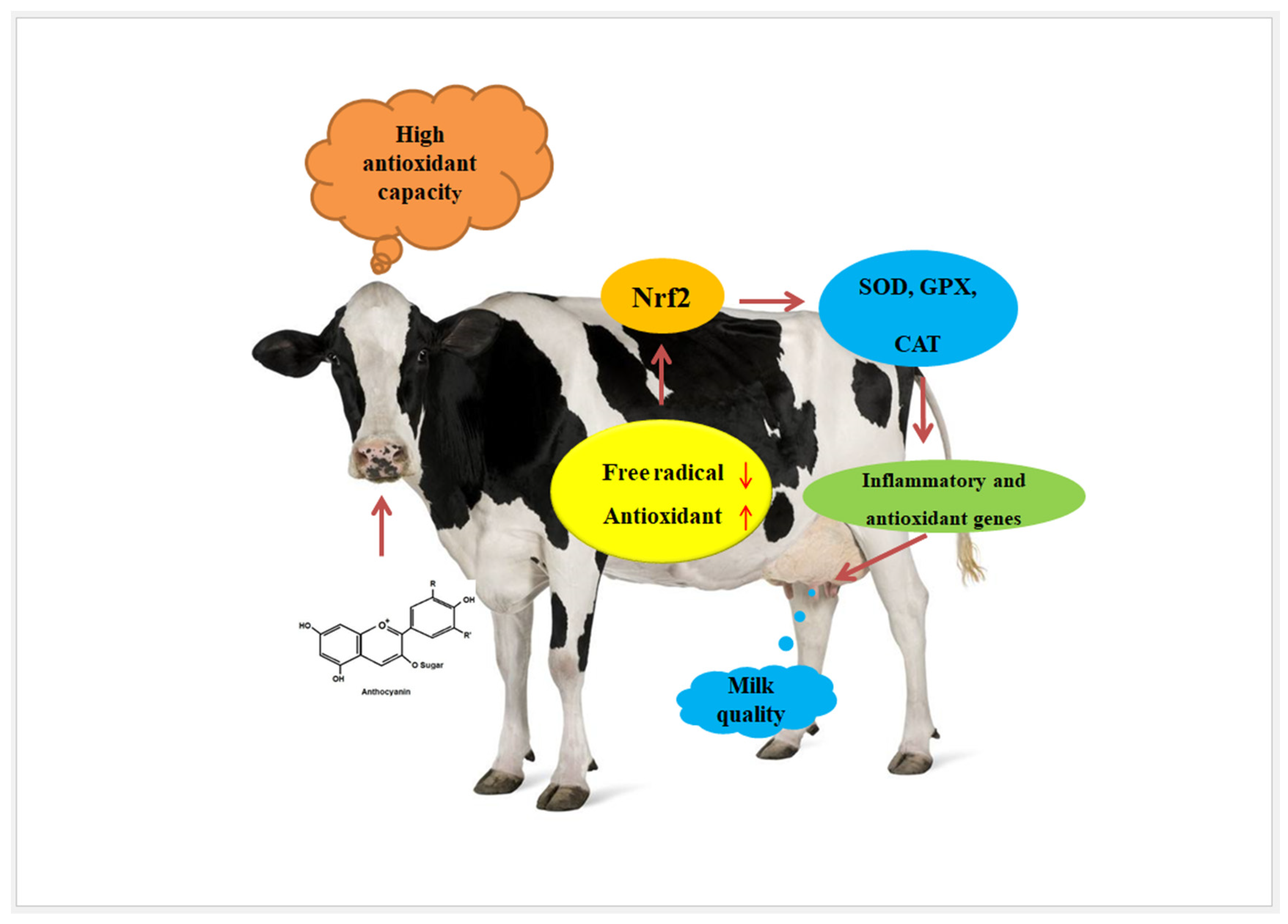 Agriculture 12 01806 g003 Agriculture 12 01806 g003