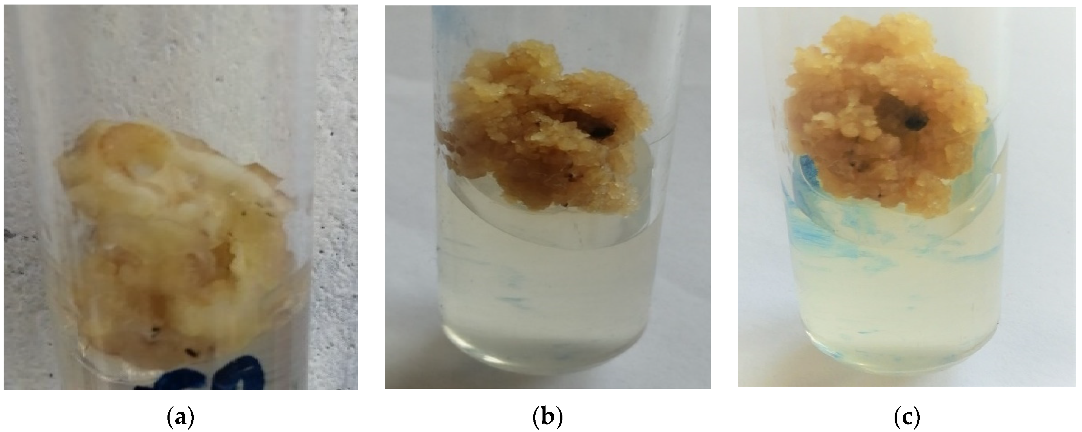 Agriculture 12 01812 g002